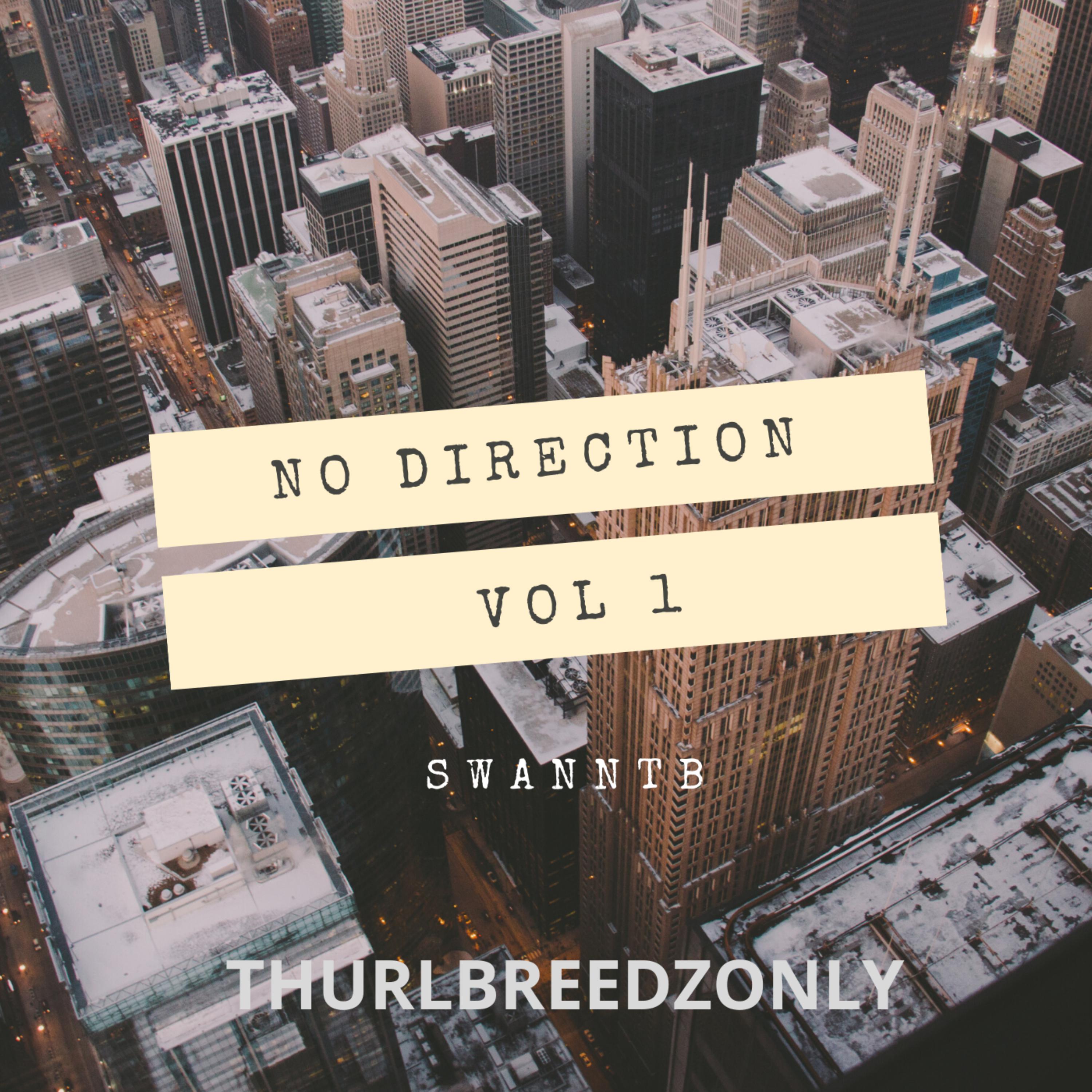 No Direction Vol 1 artwork