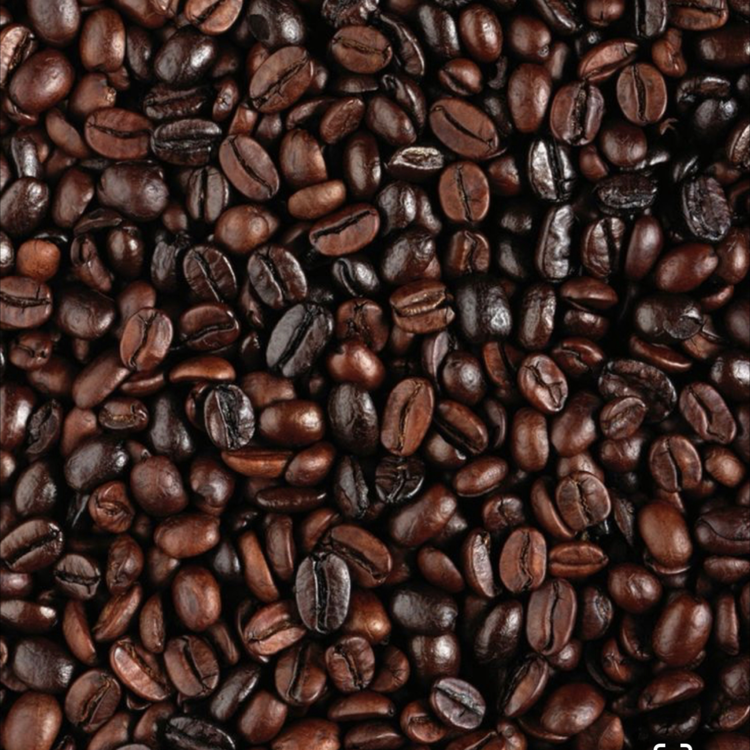MAKING COFFEE ALL DAY artwork