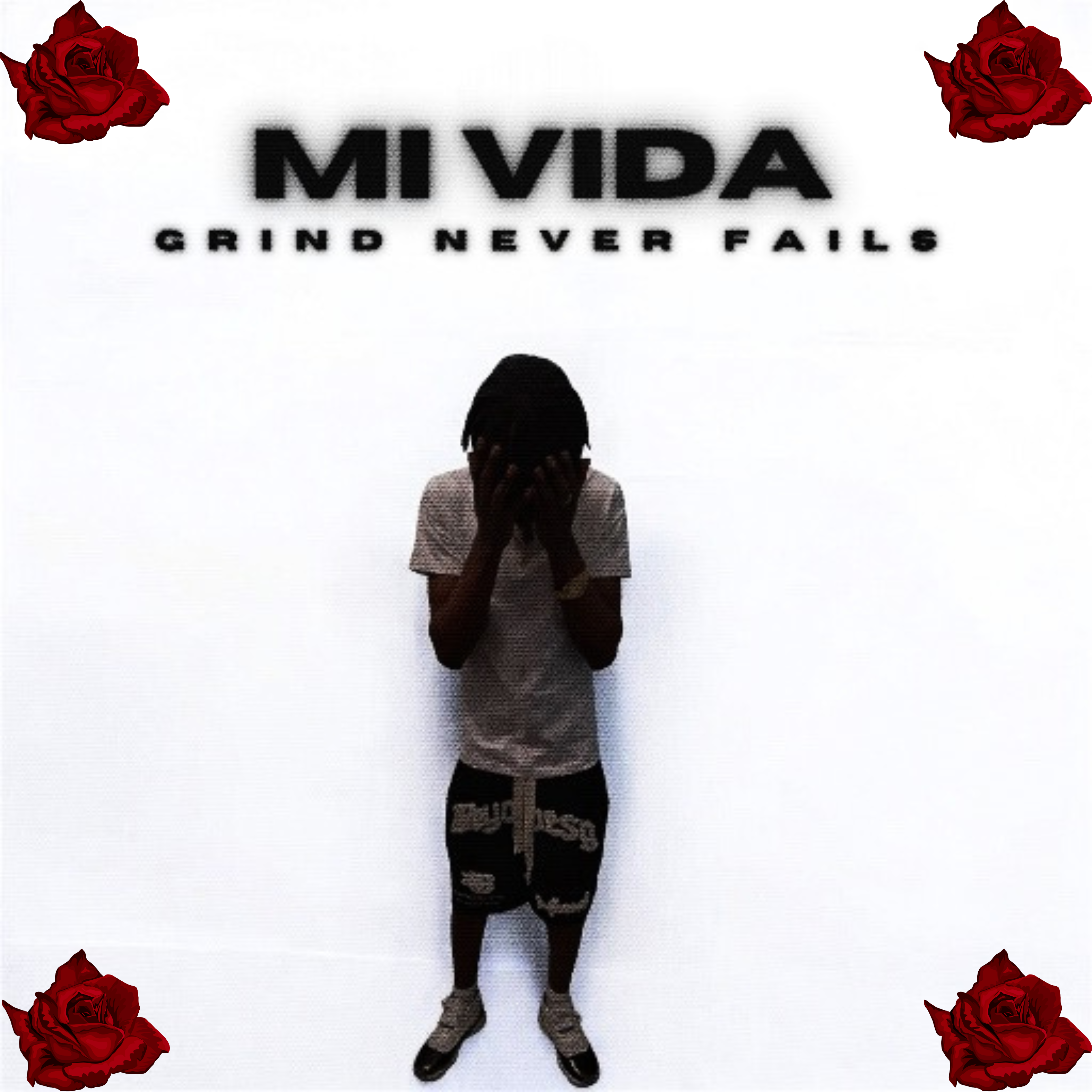 Mi Vida artwork