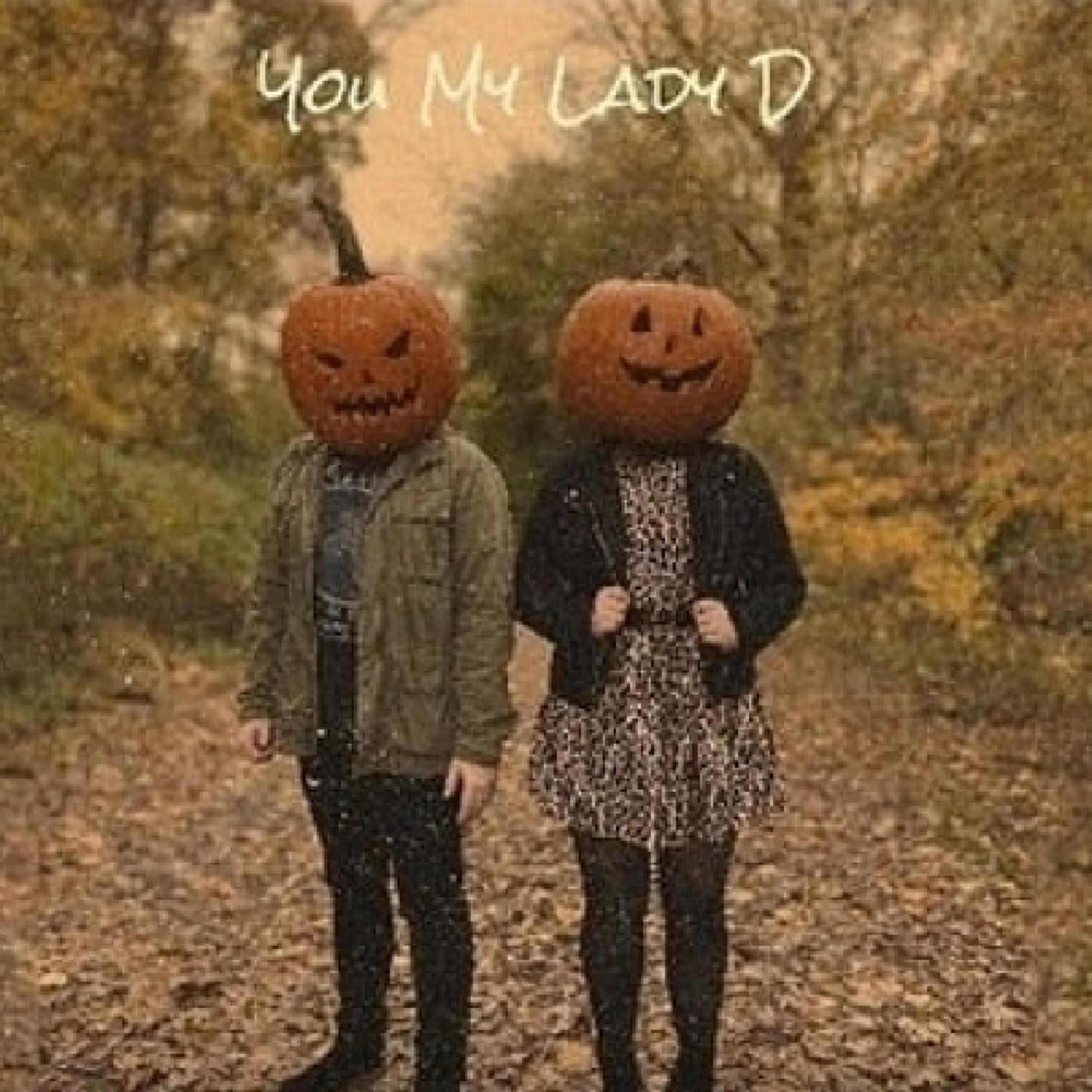 You My Lady D .. artwork