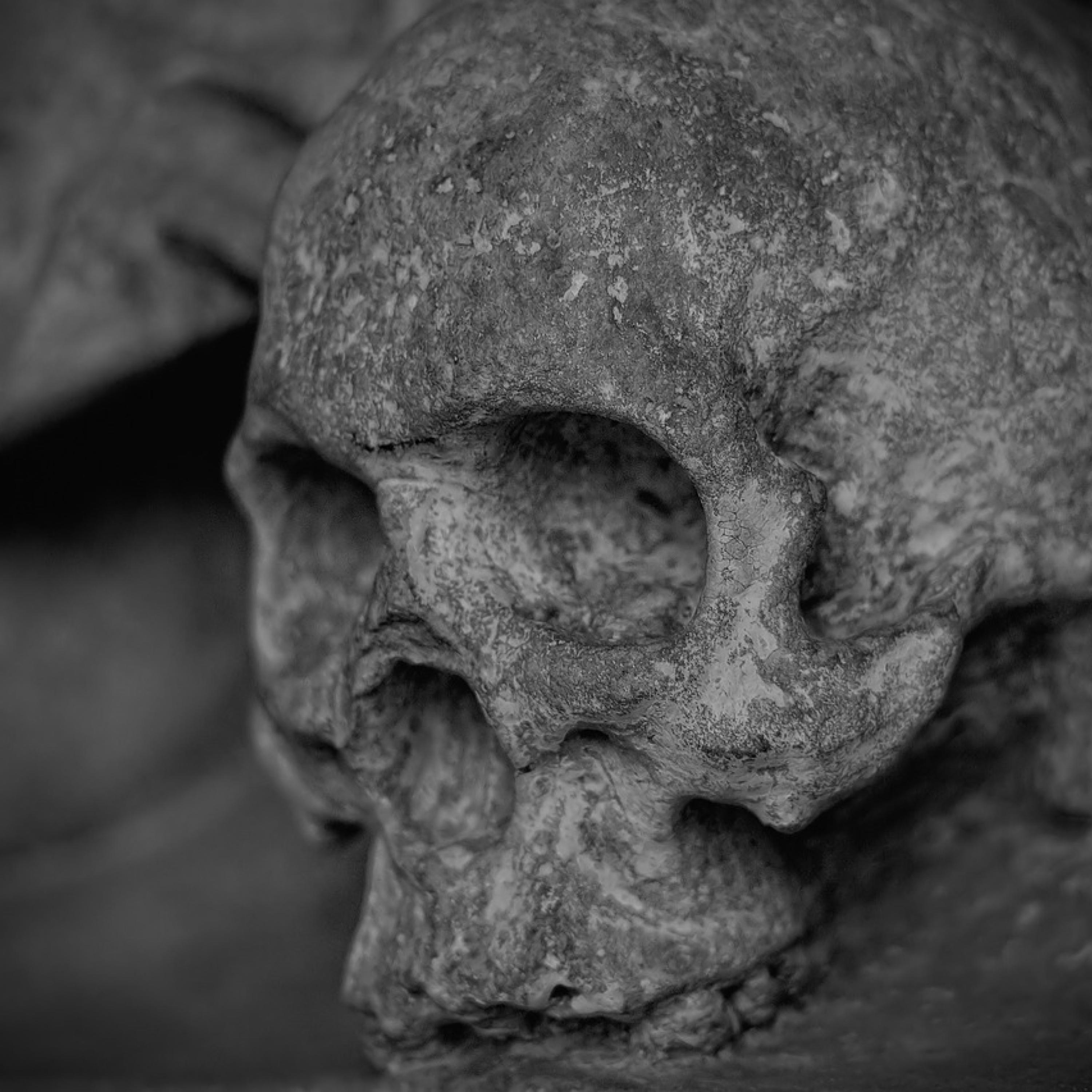 Dead Bodies artwork