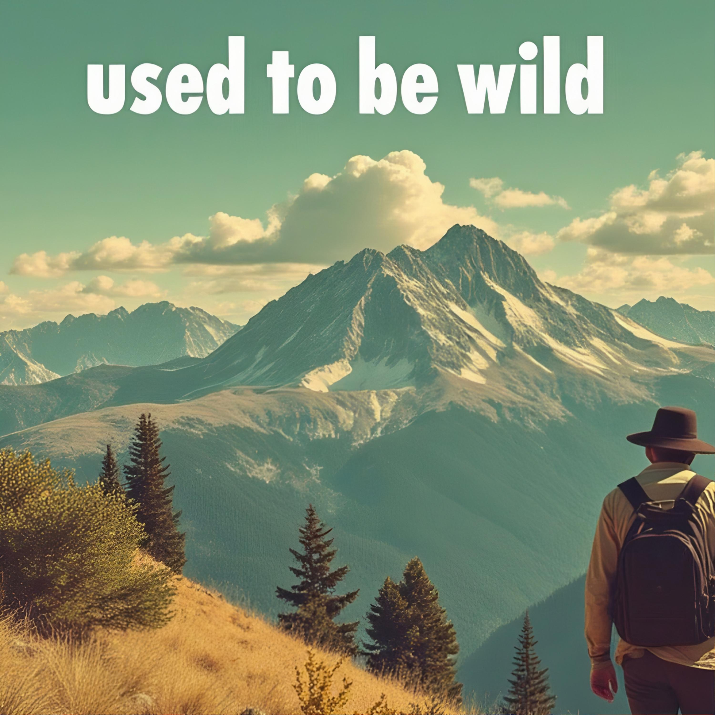 Used To Be Wild by Shreddick cover art