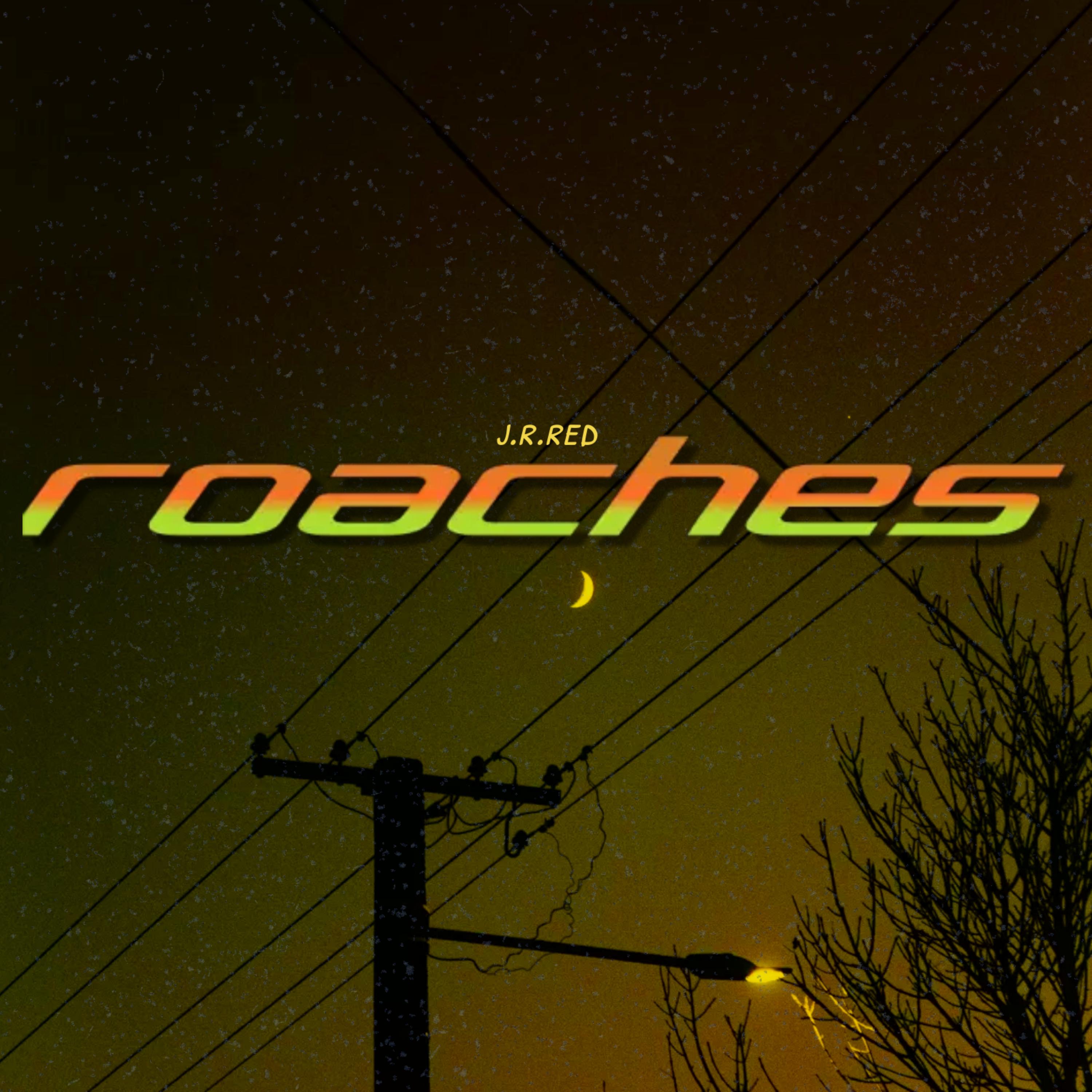 Roaches artwork