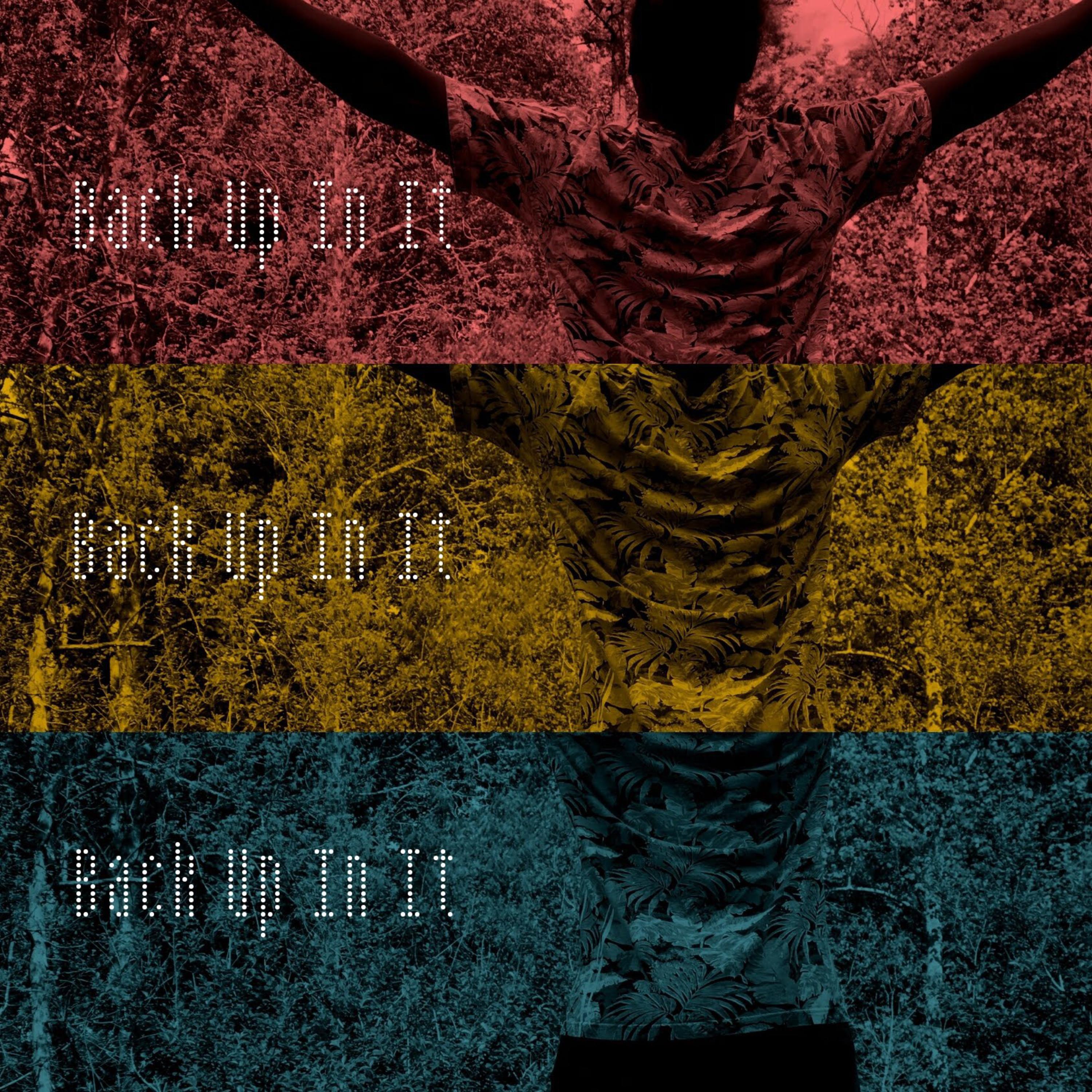 Back Up In It artwork