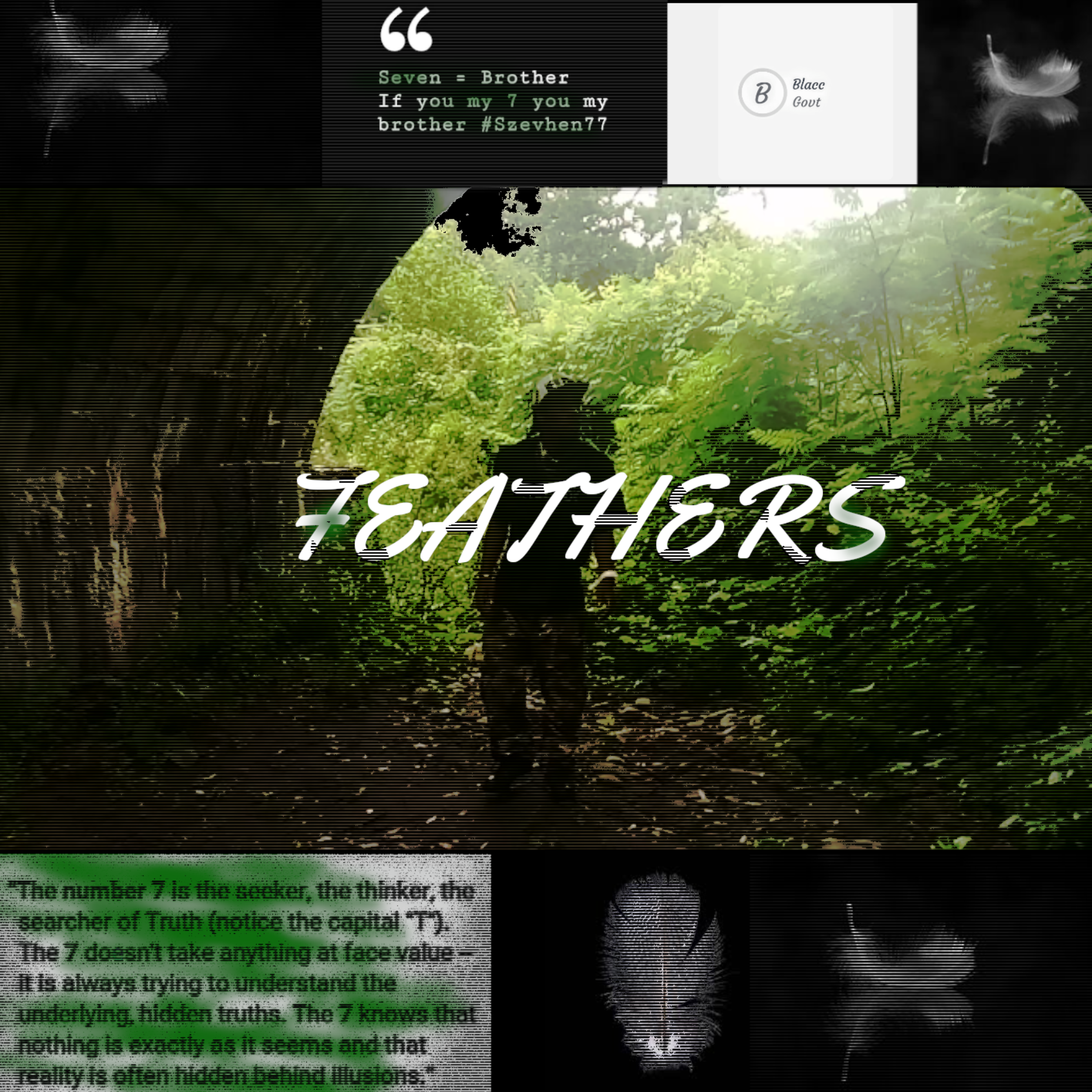 Feathers artwork