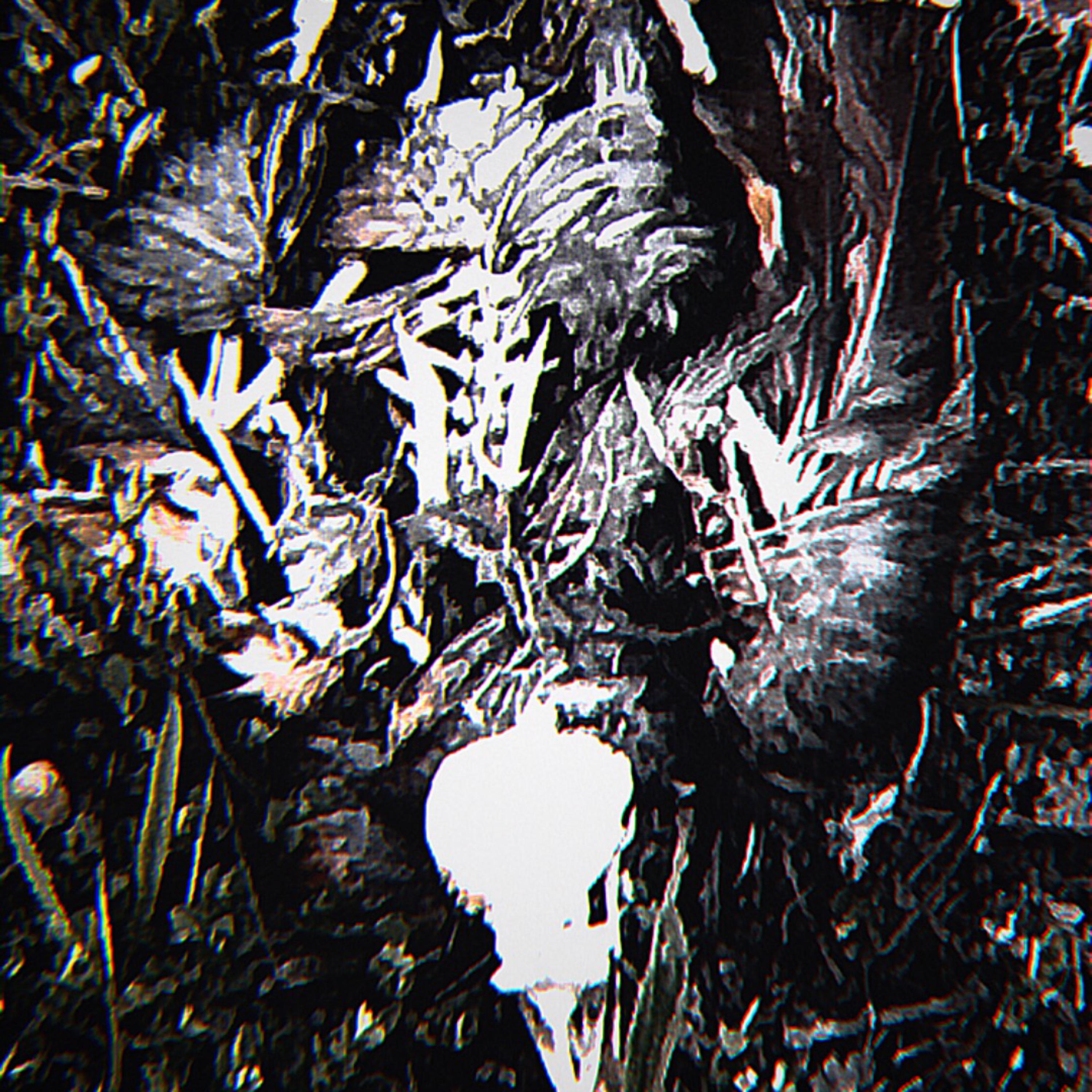 Dead Animals artwork