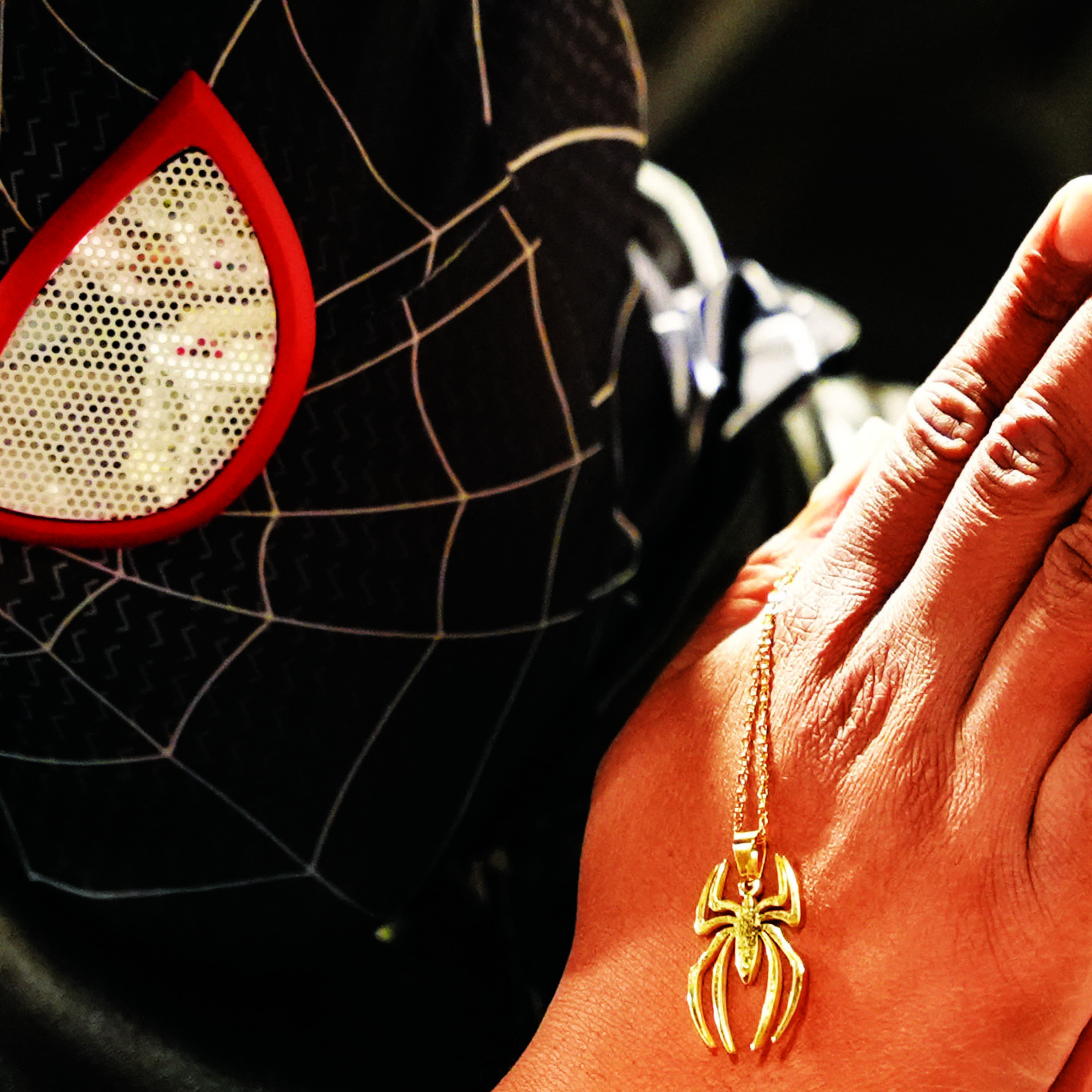 Pray For A Spider artwork