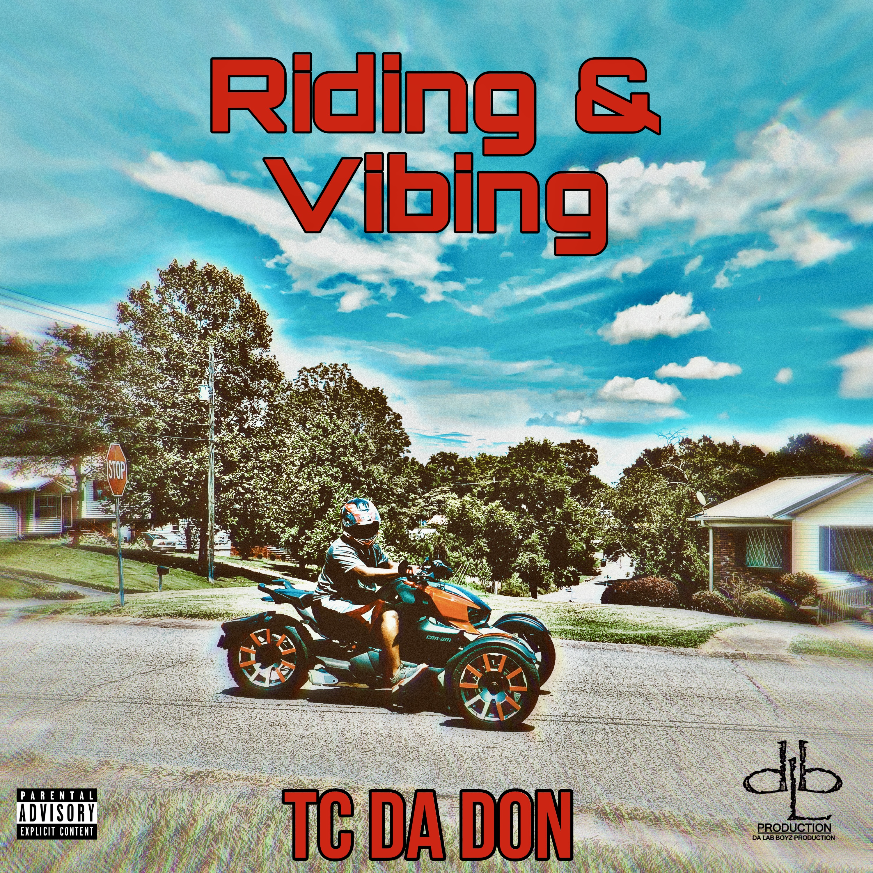 Riding & Vibing artwork
