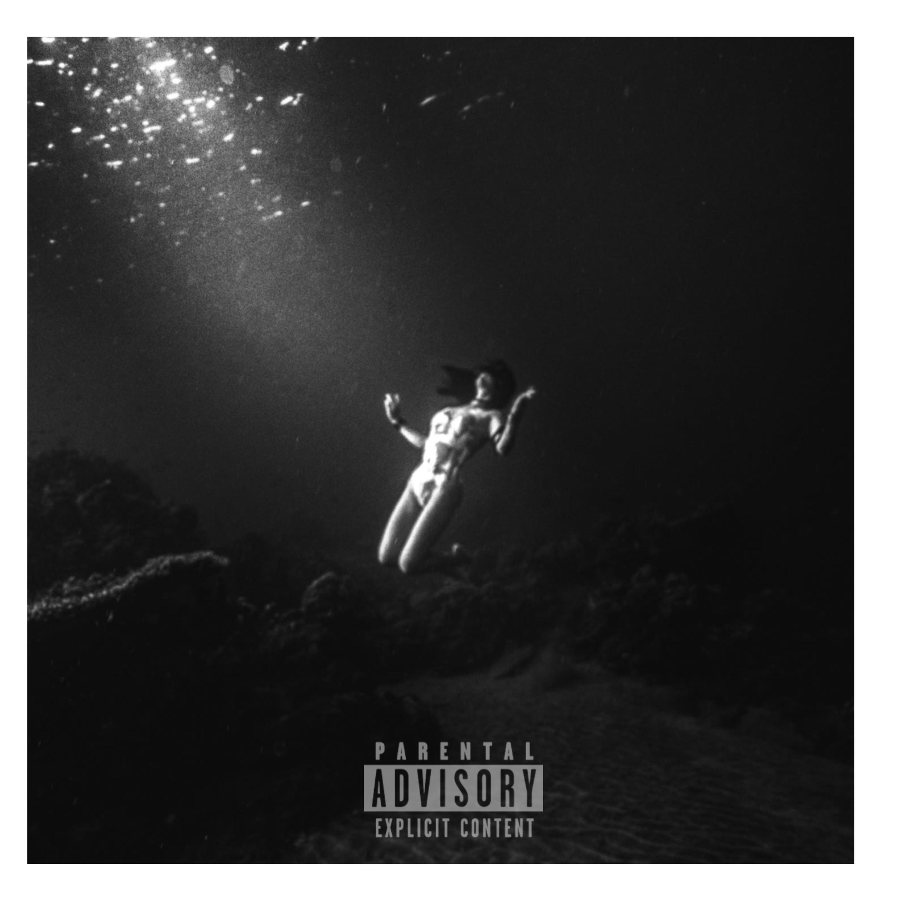 WHEREIMAT. by RosePurpp cover art