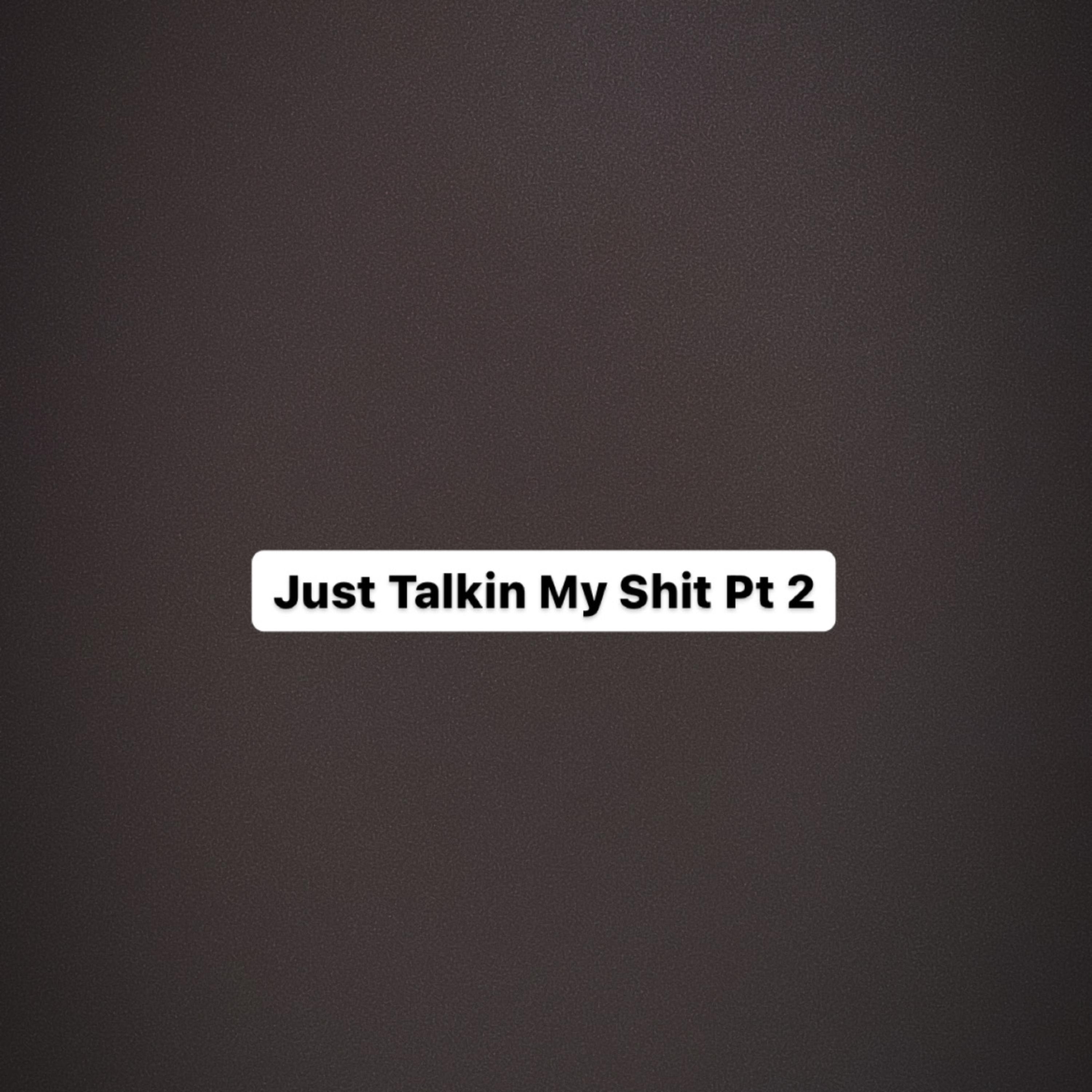 Just Talkin My Shit Pt2 artwork