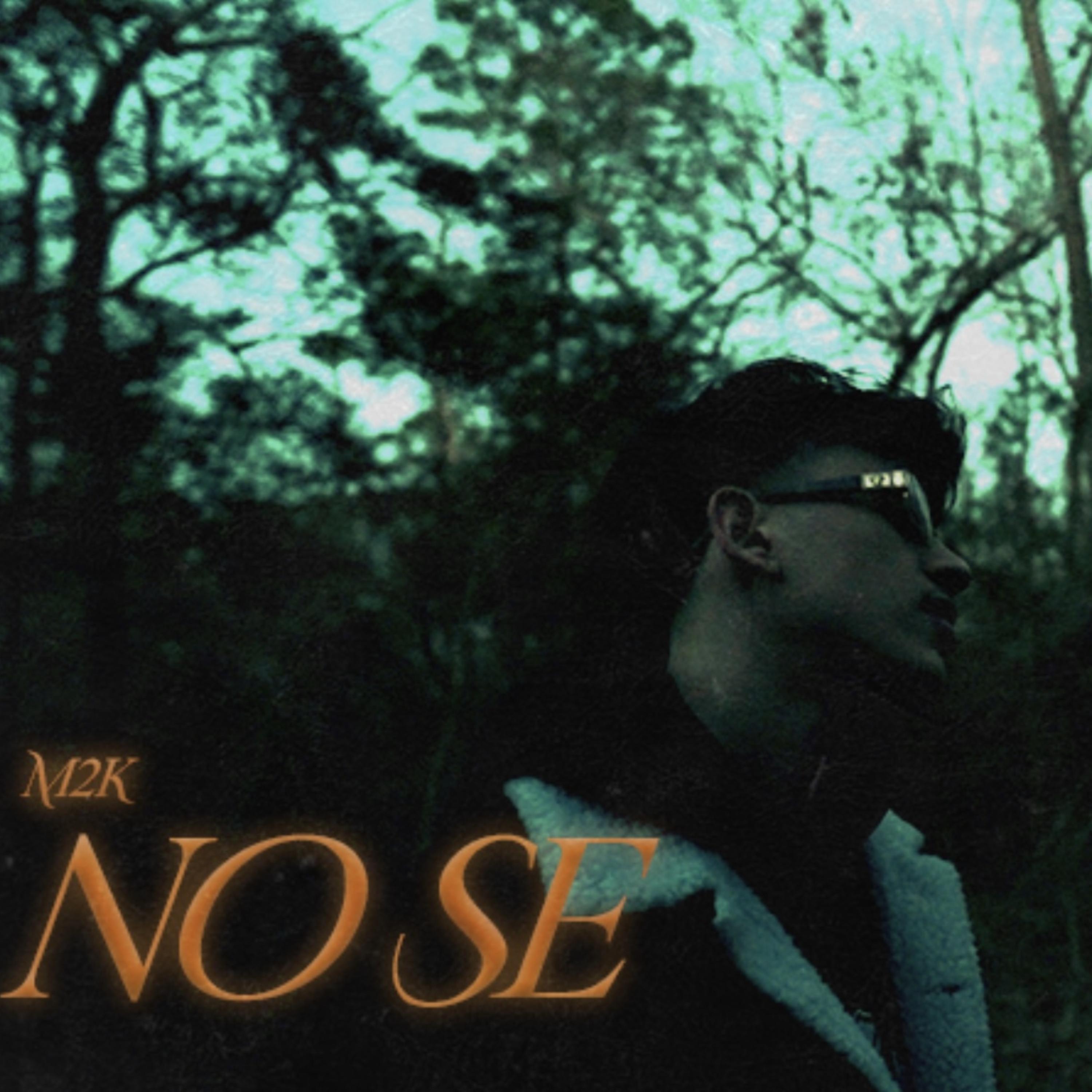 NO SE artwork