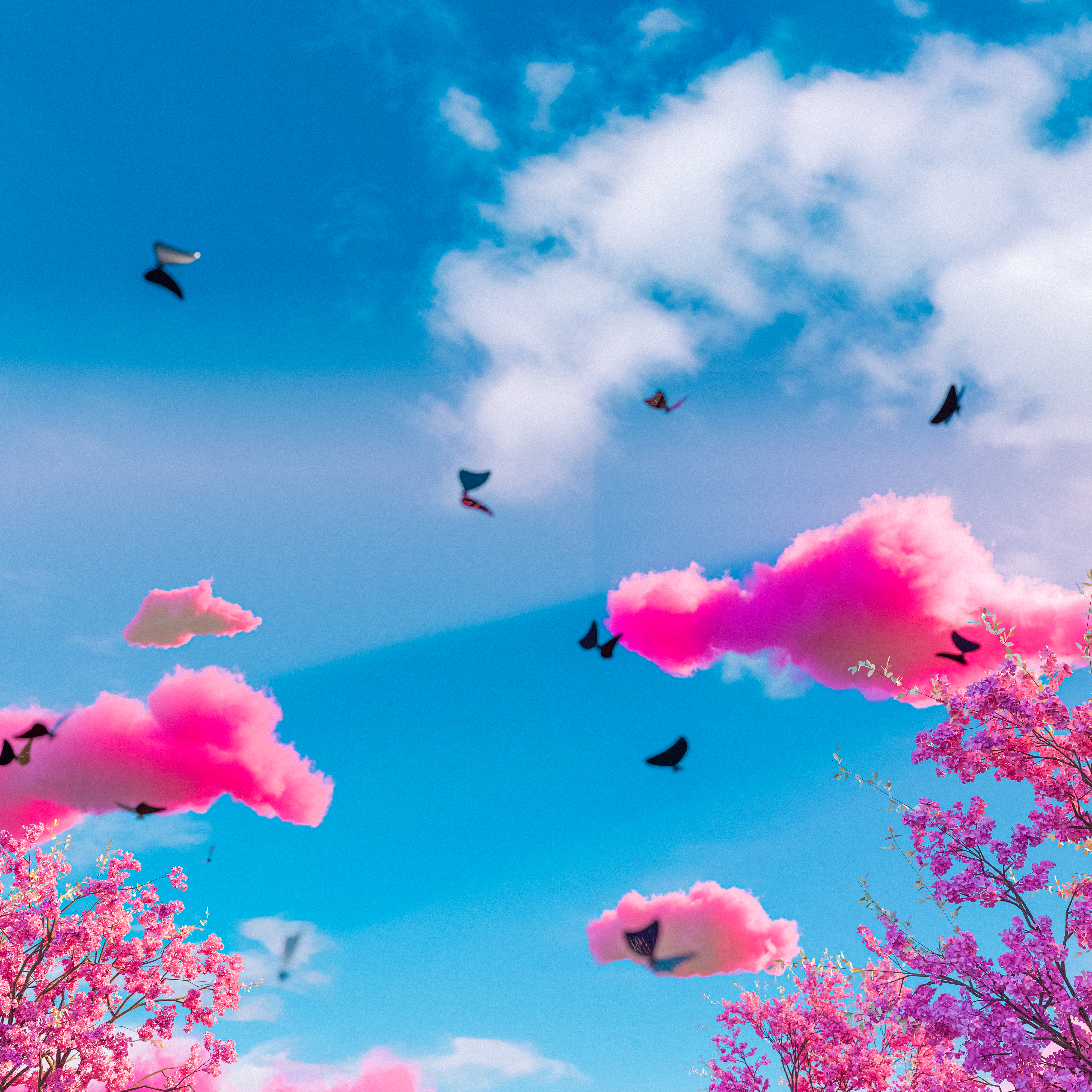 Black Pixie (On The Edge) artwork