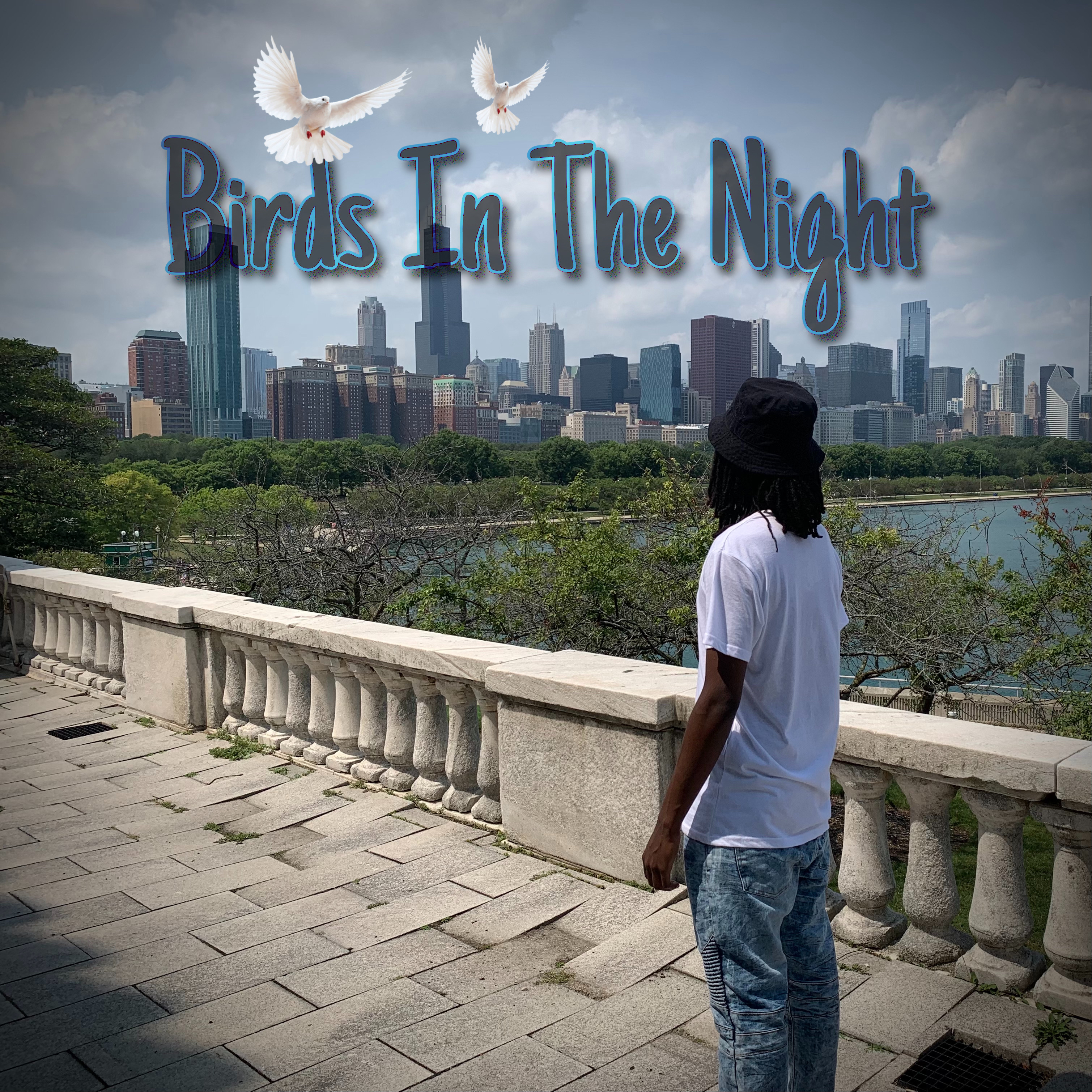 BIRDS IN THE NIGHT artwork