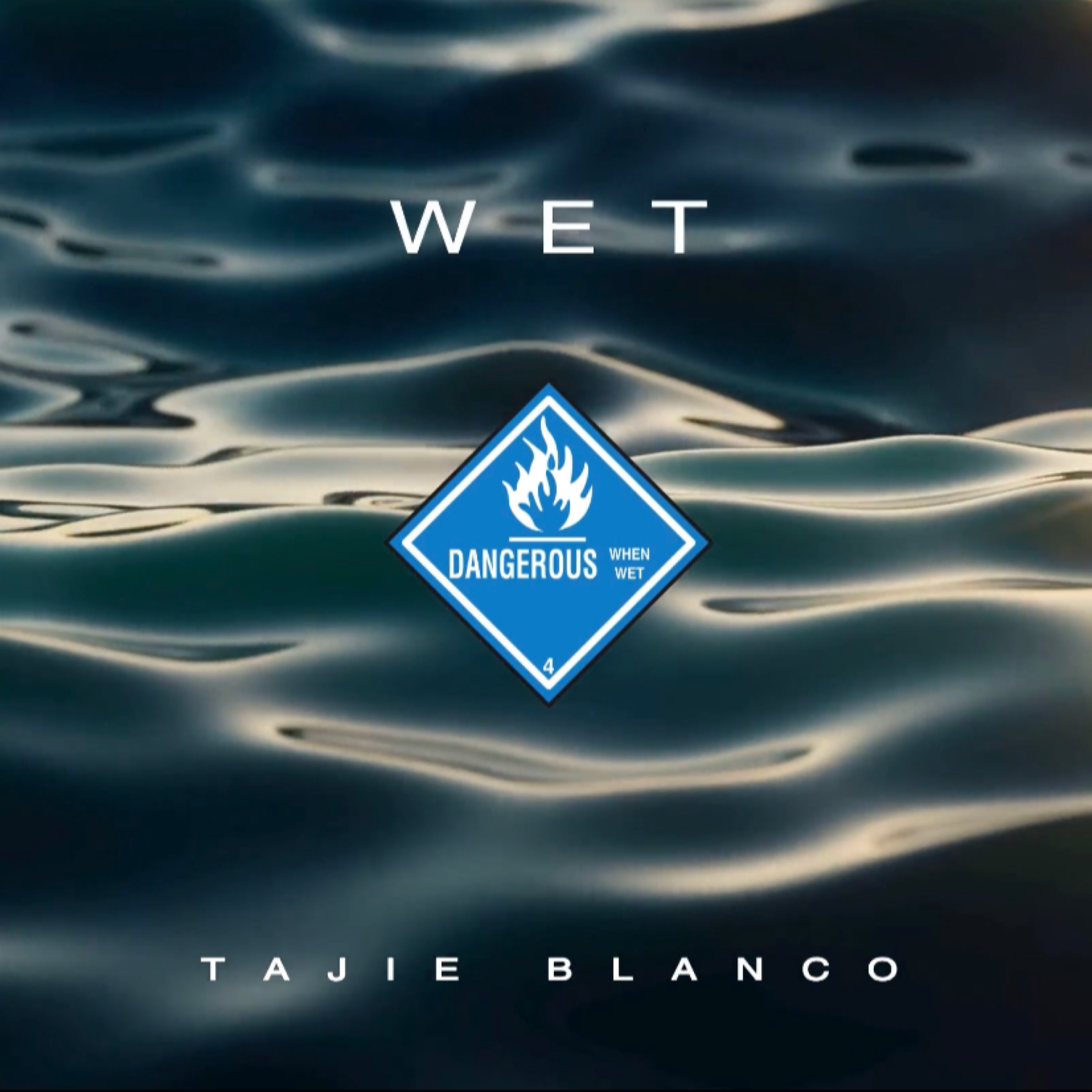 Dangerous When Wet artwork