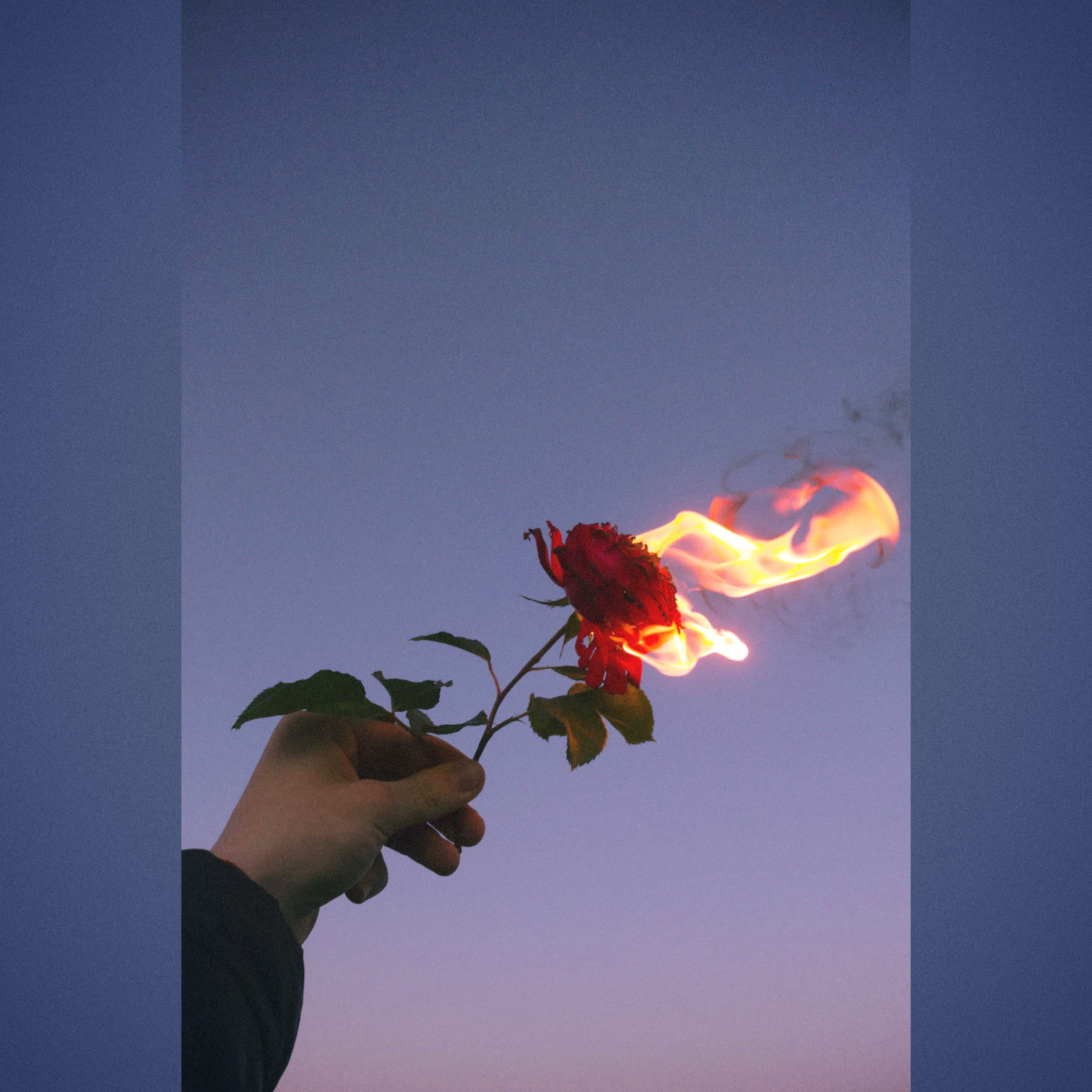Still in Love' artwork