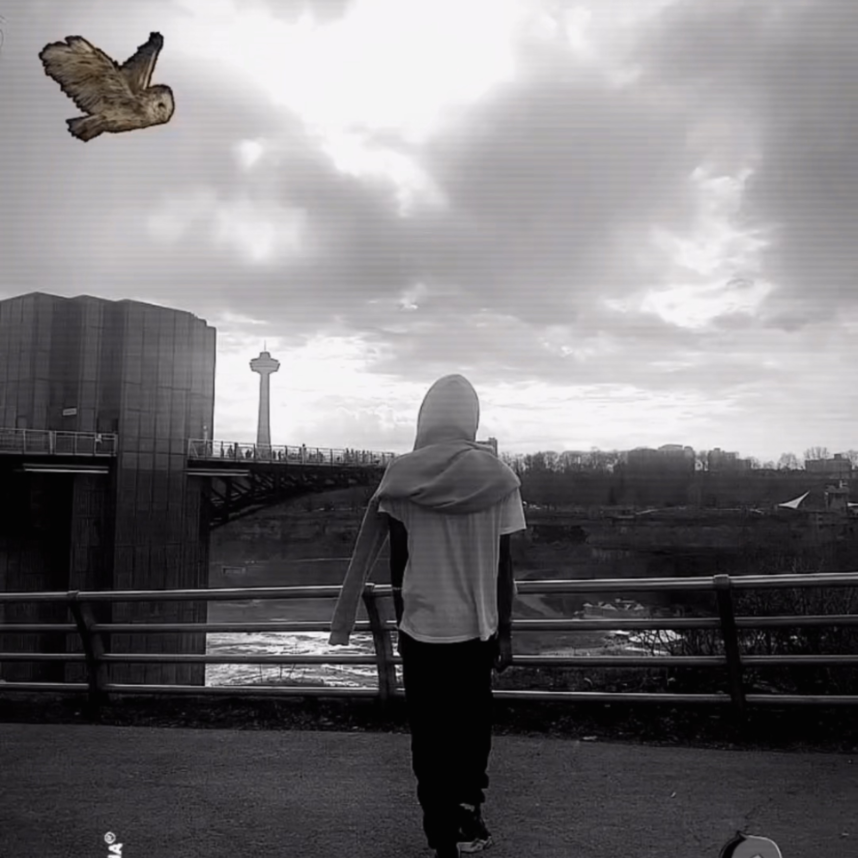 HıgĦ $peed artwork