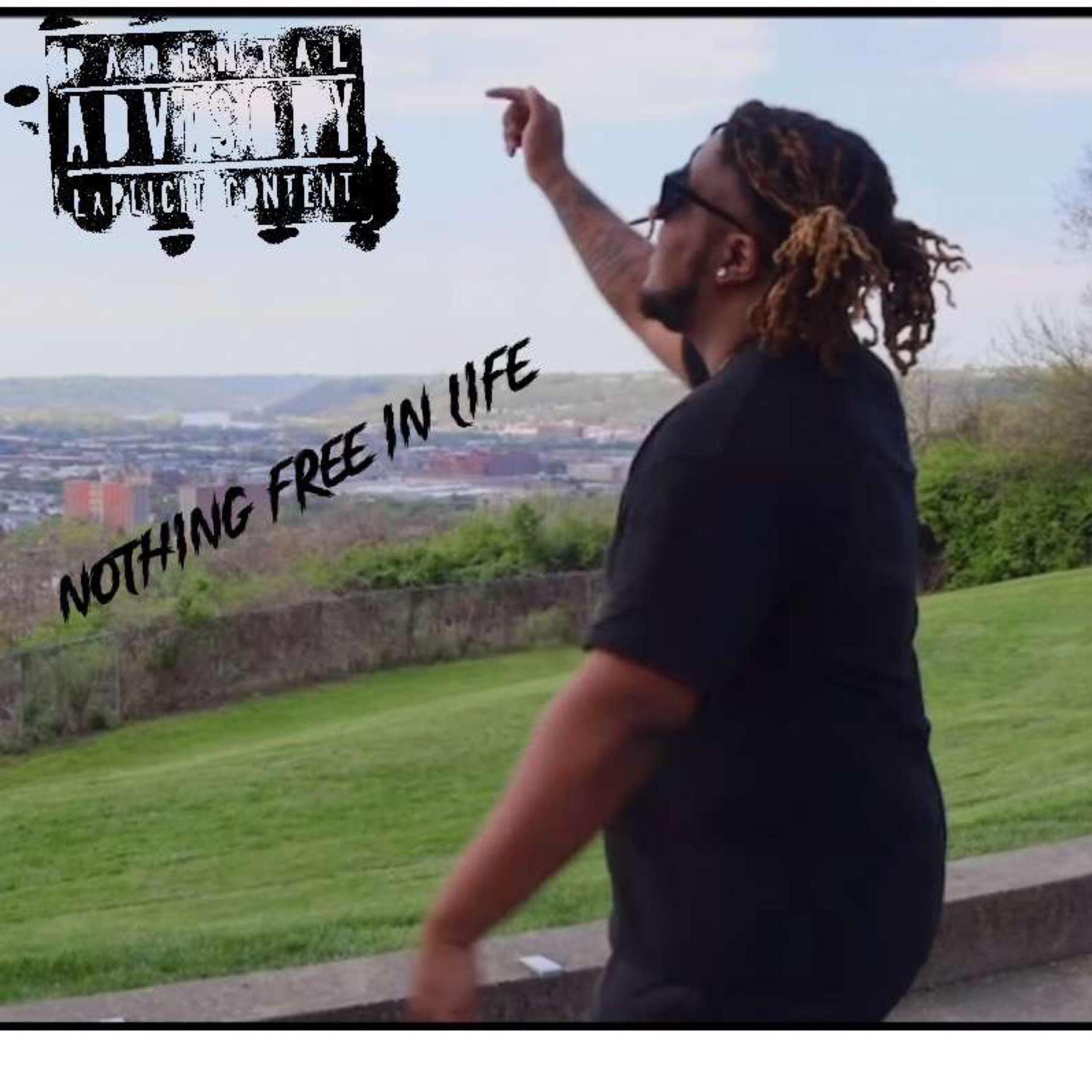 Nothing Free In Life artwork