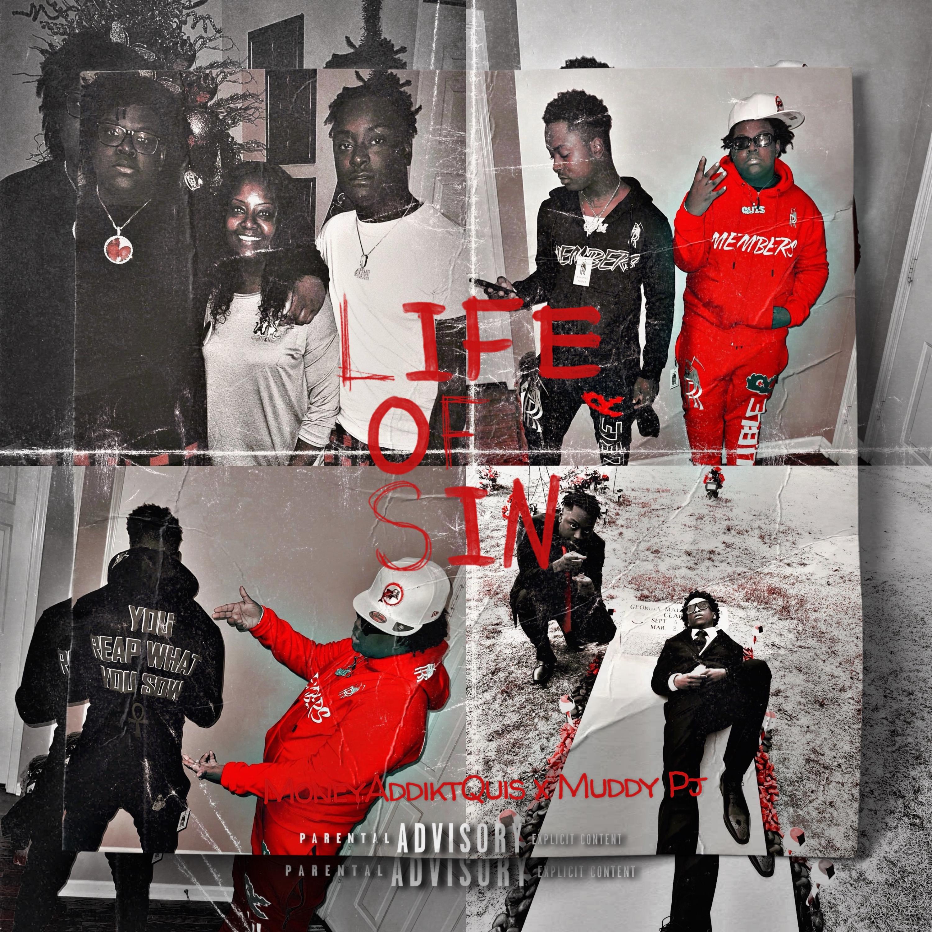 Life Of Sin artwork