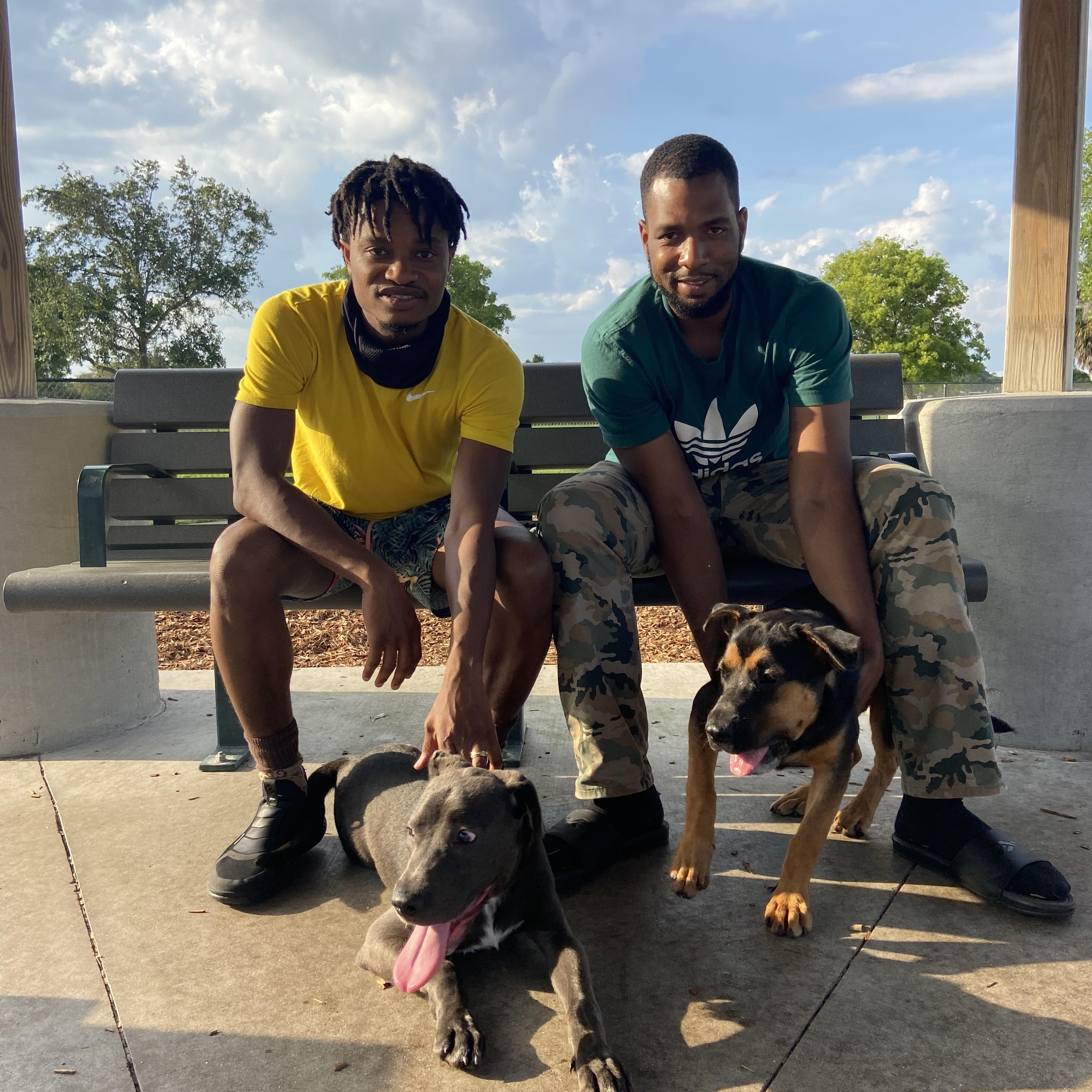 STR8 DROP NY PACK artwork