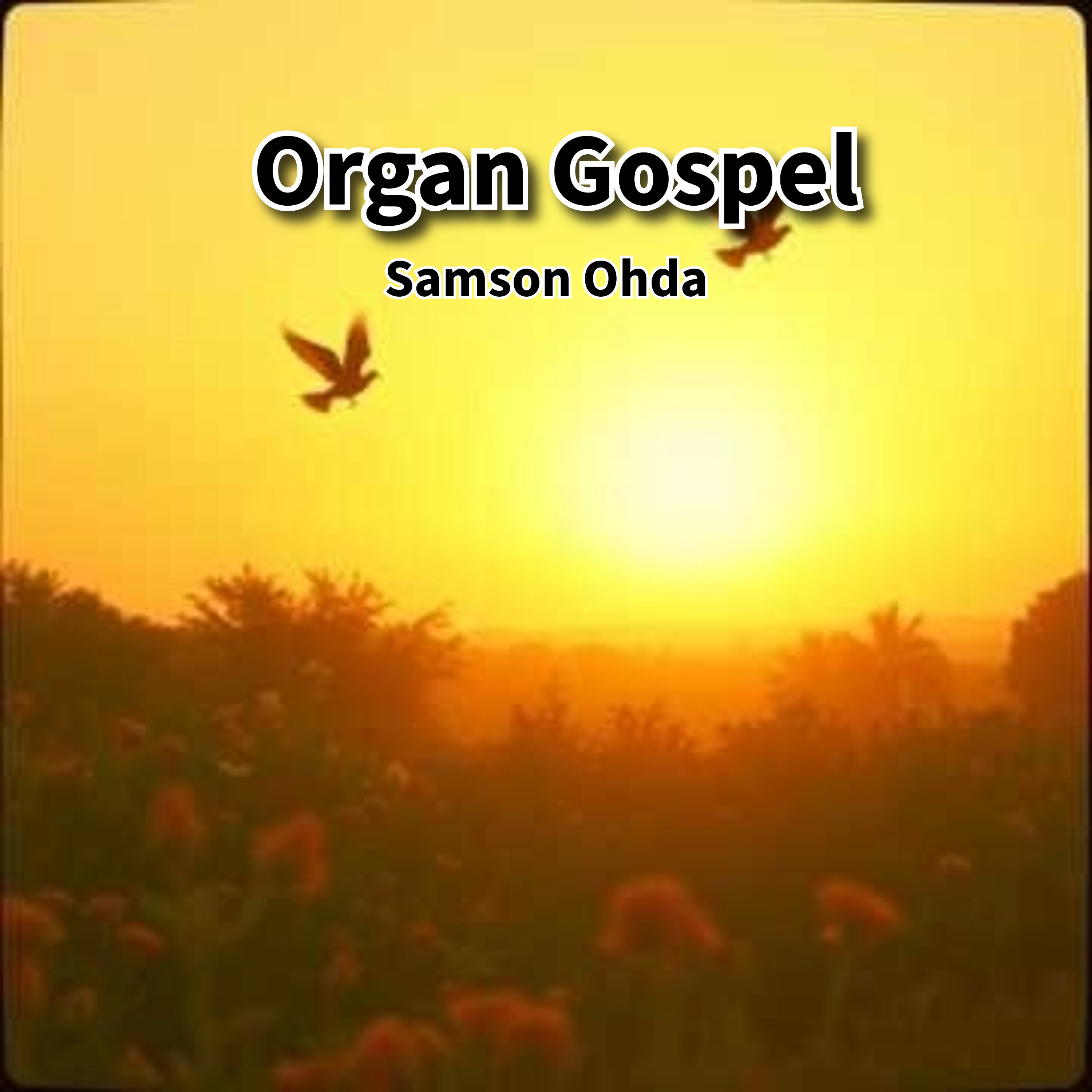 Organ Gospel Vol 1 Album artwork