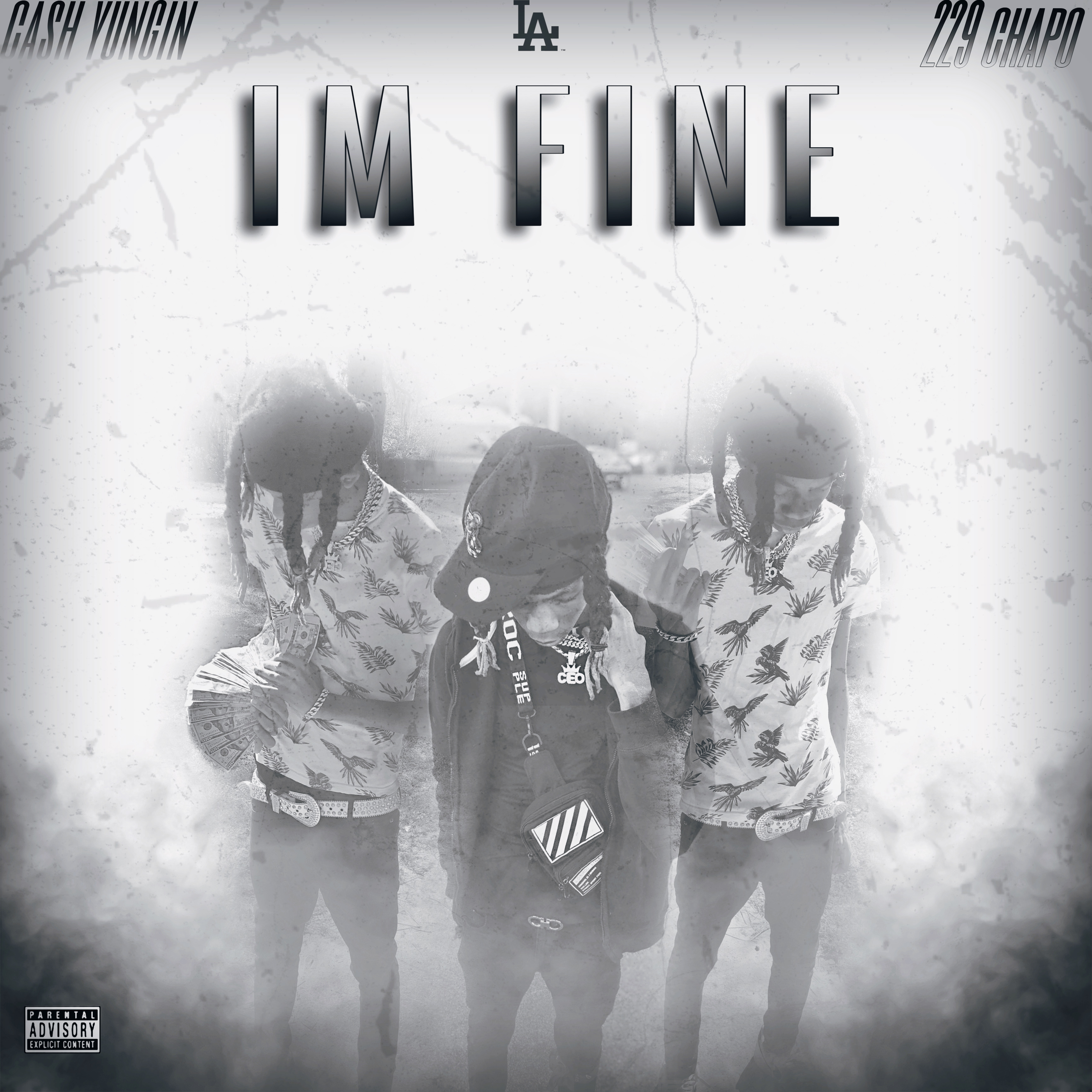 IM FINE artwork