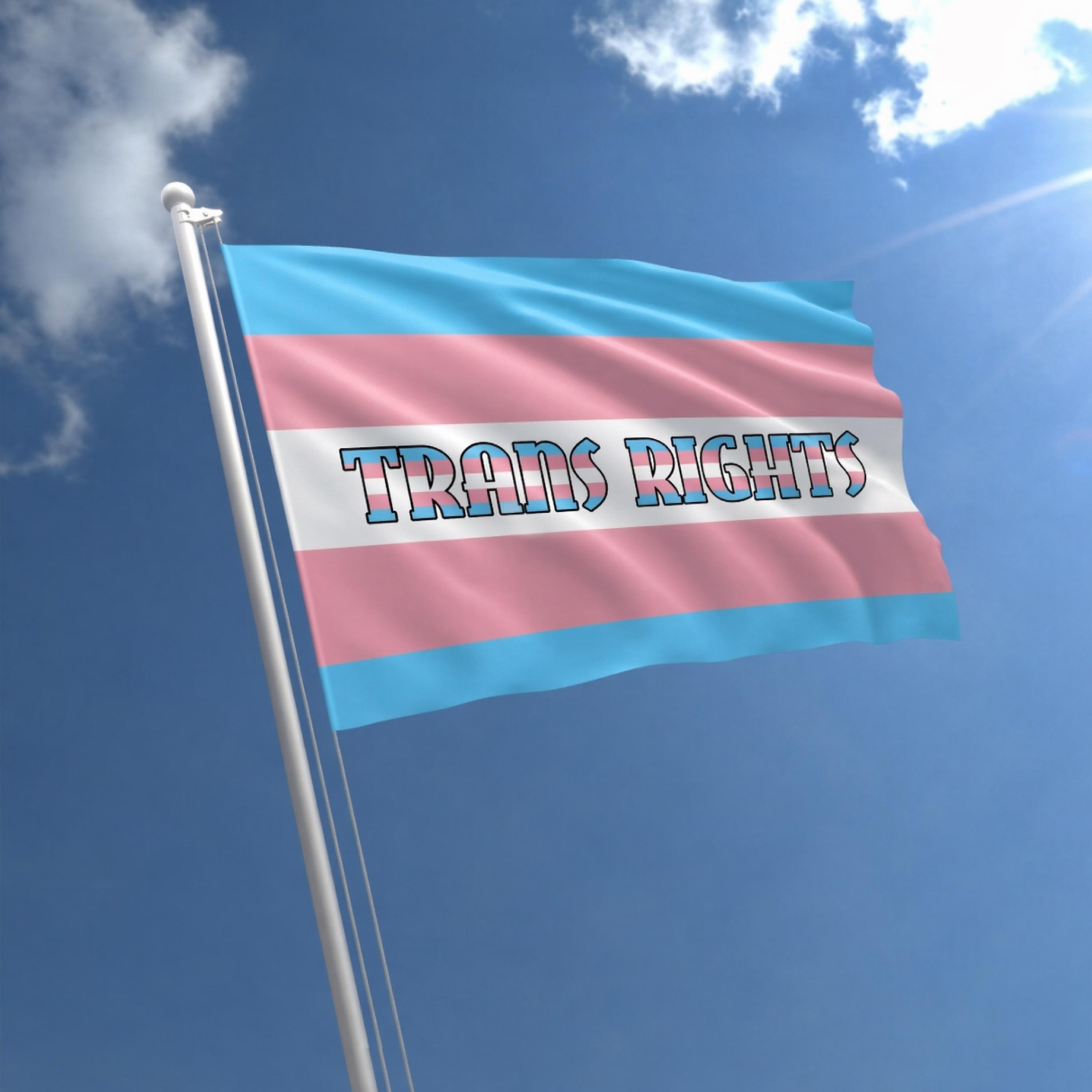 Trans-Rights artwork