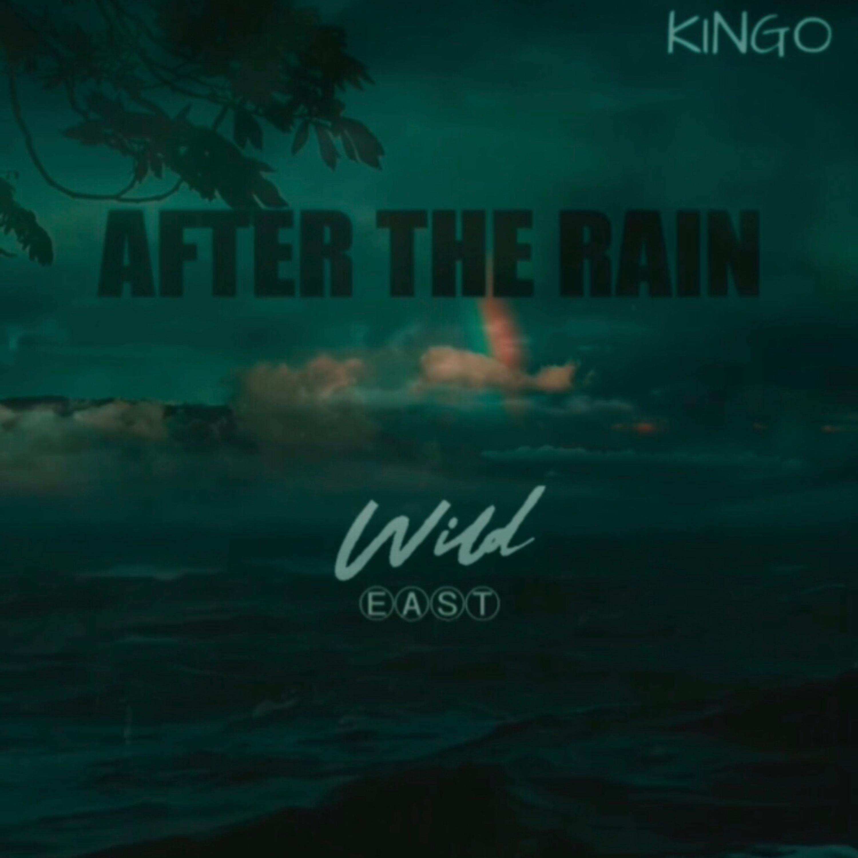 After The Rain by Wildeast cover art
