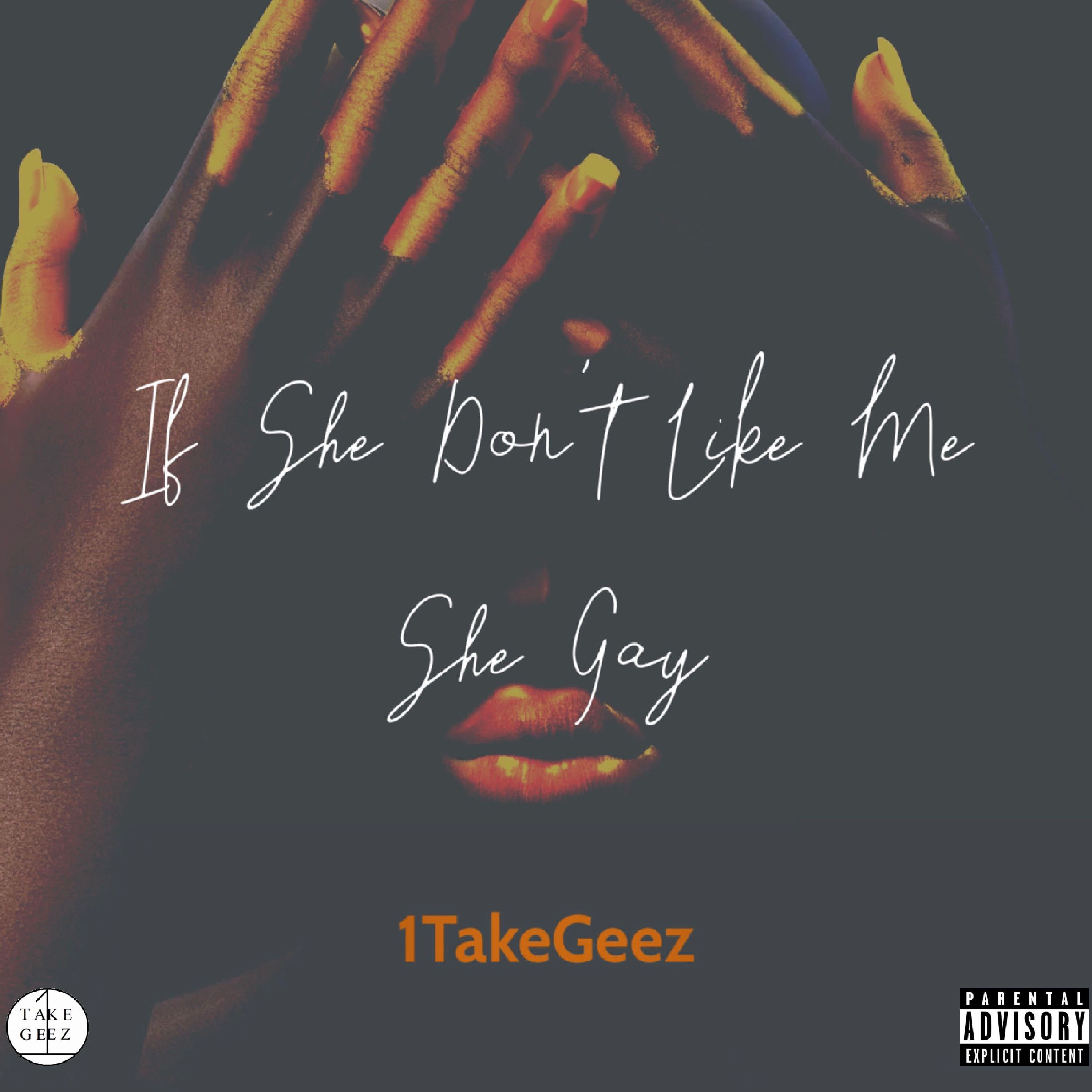 If She Don't Like Me She Gay artwork
