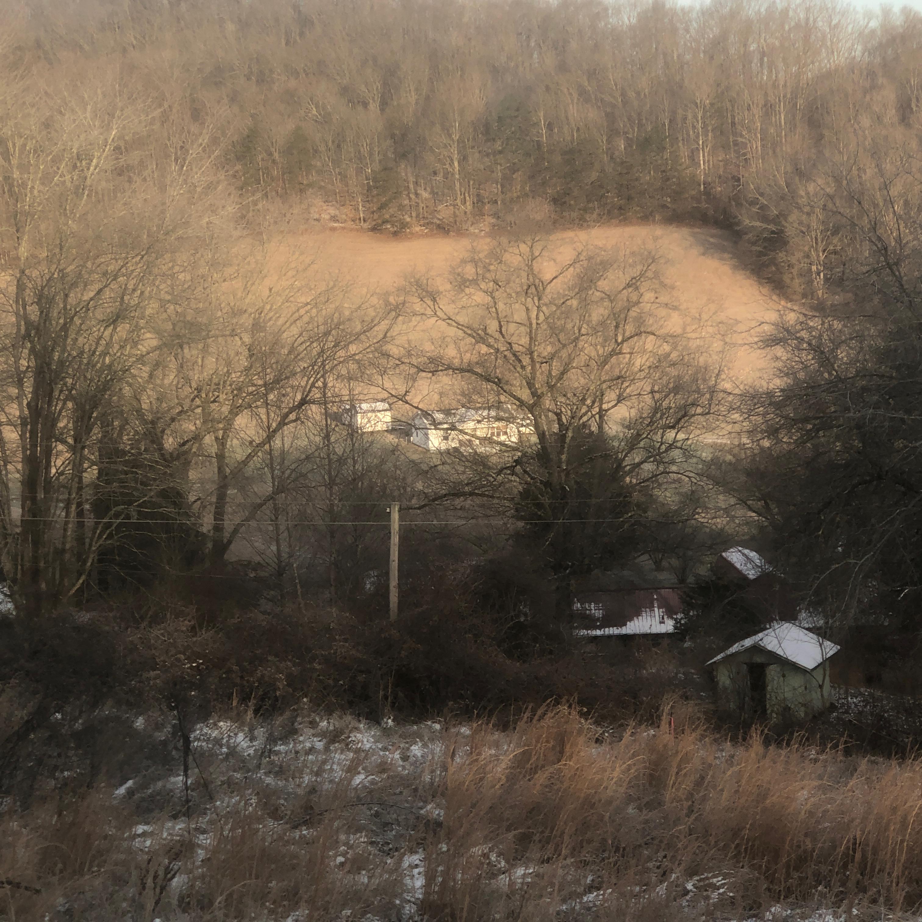 If A Snake Ho artwork