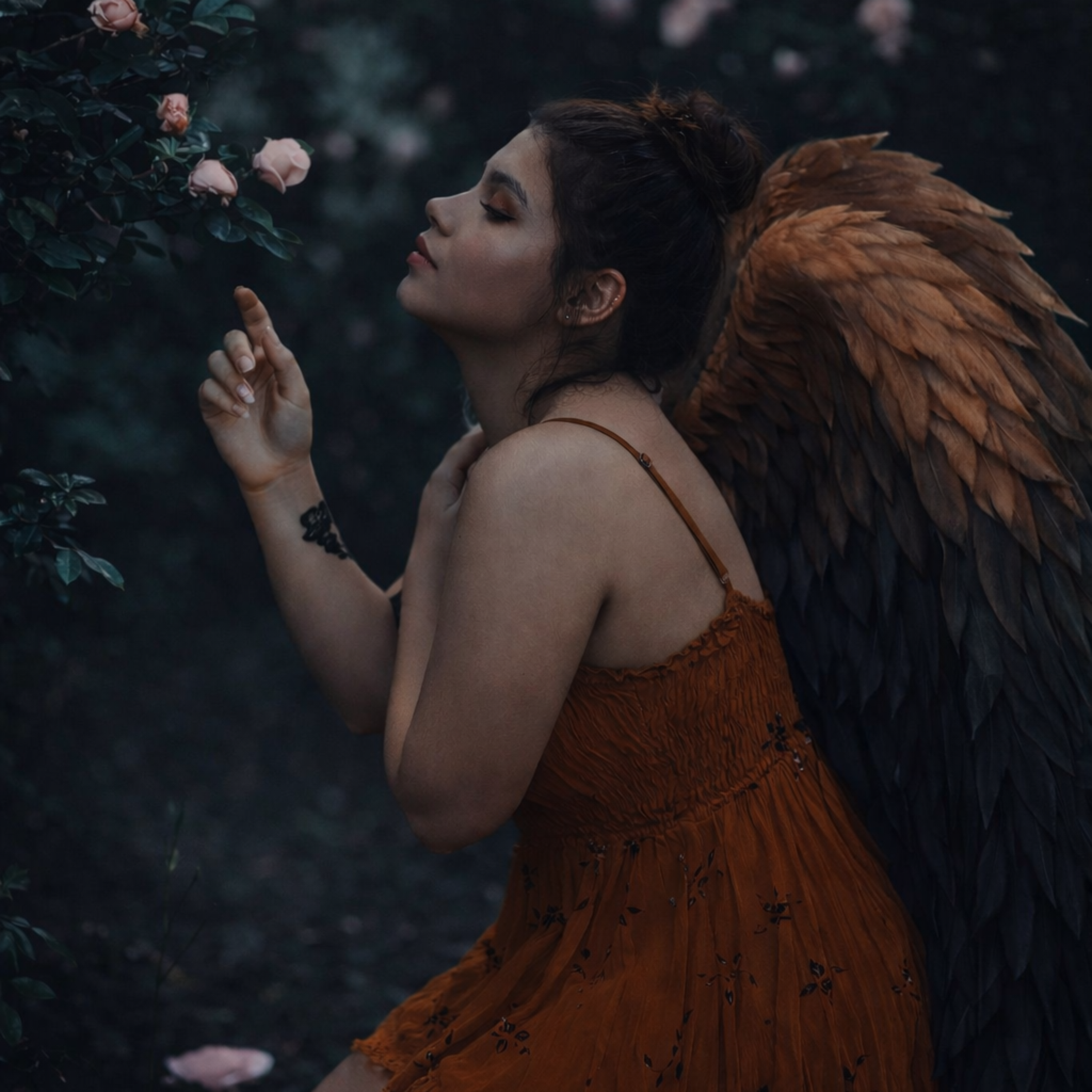feathers from a fallen angel artwork