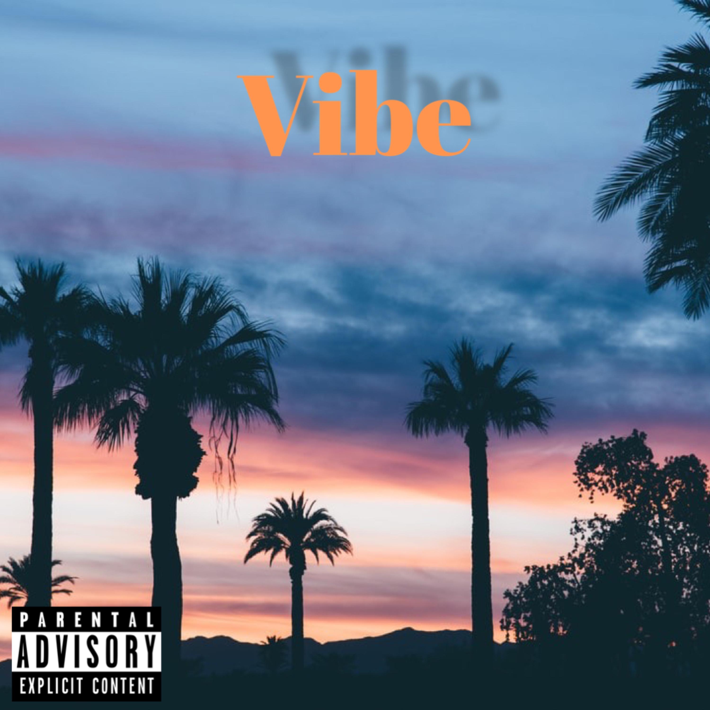 Vibe artwork