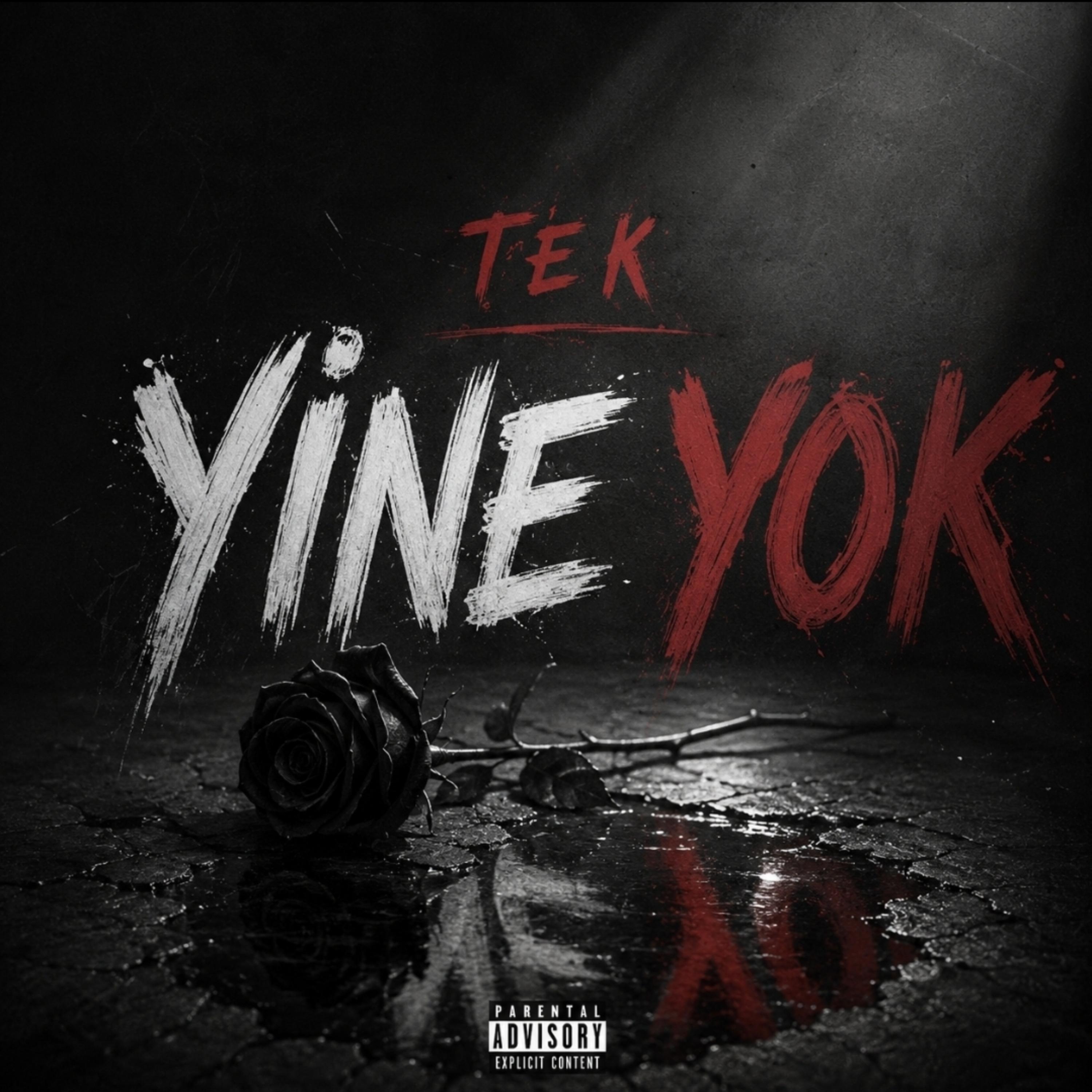Tek, Yine Yok by Evla cover art