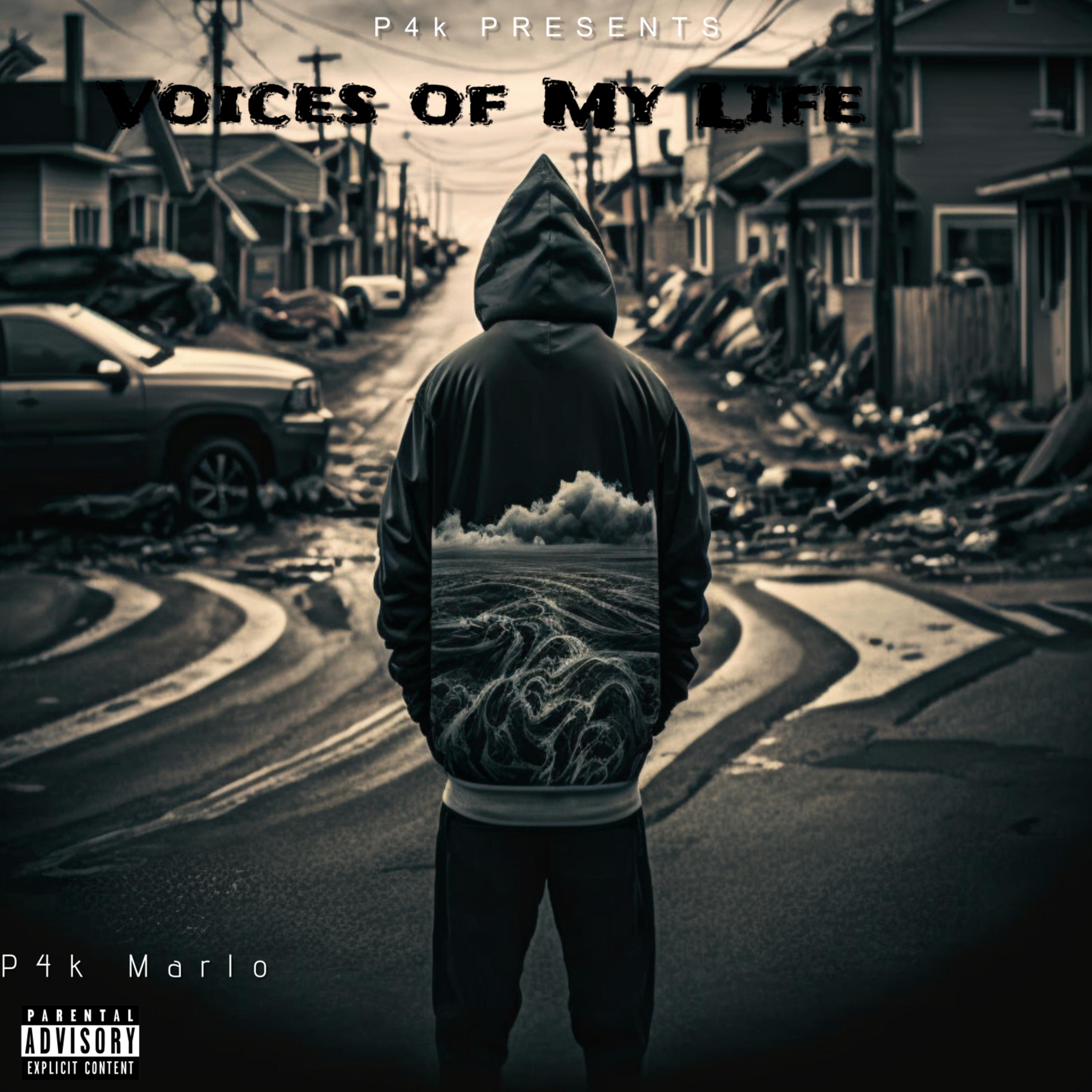Voices Of My Life artwork