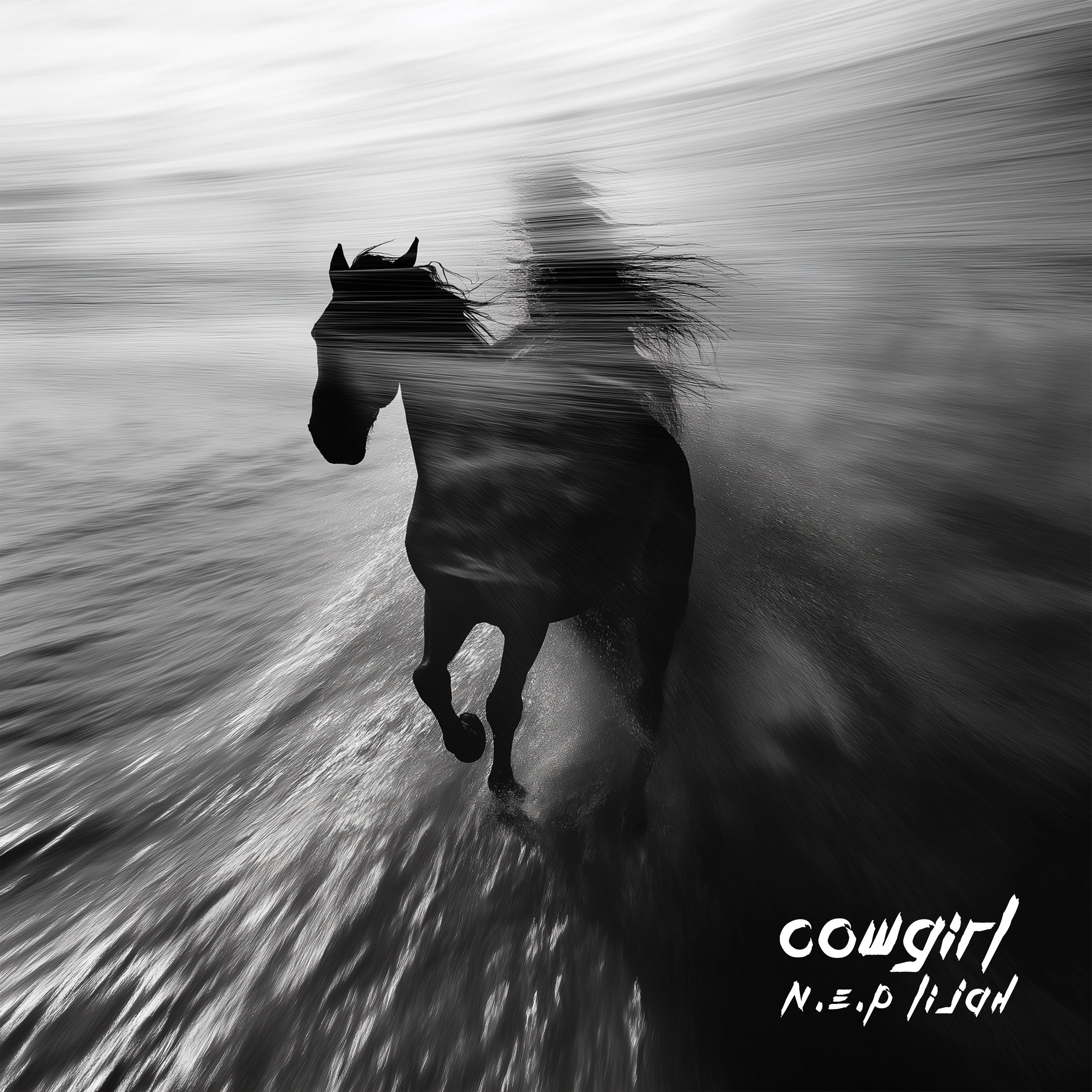 Cowgirl artwork