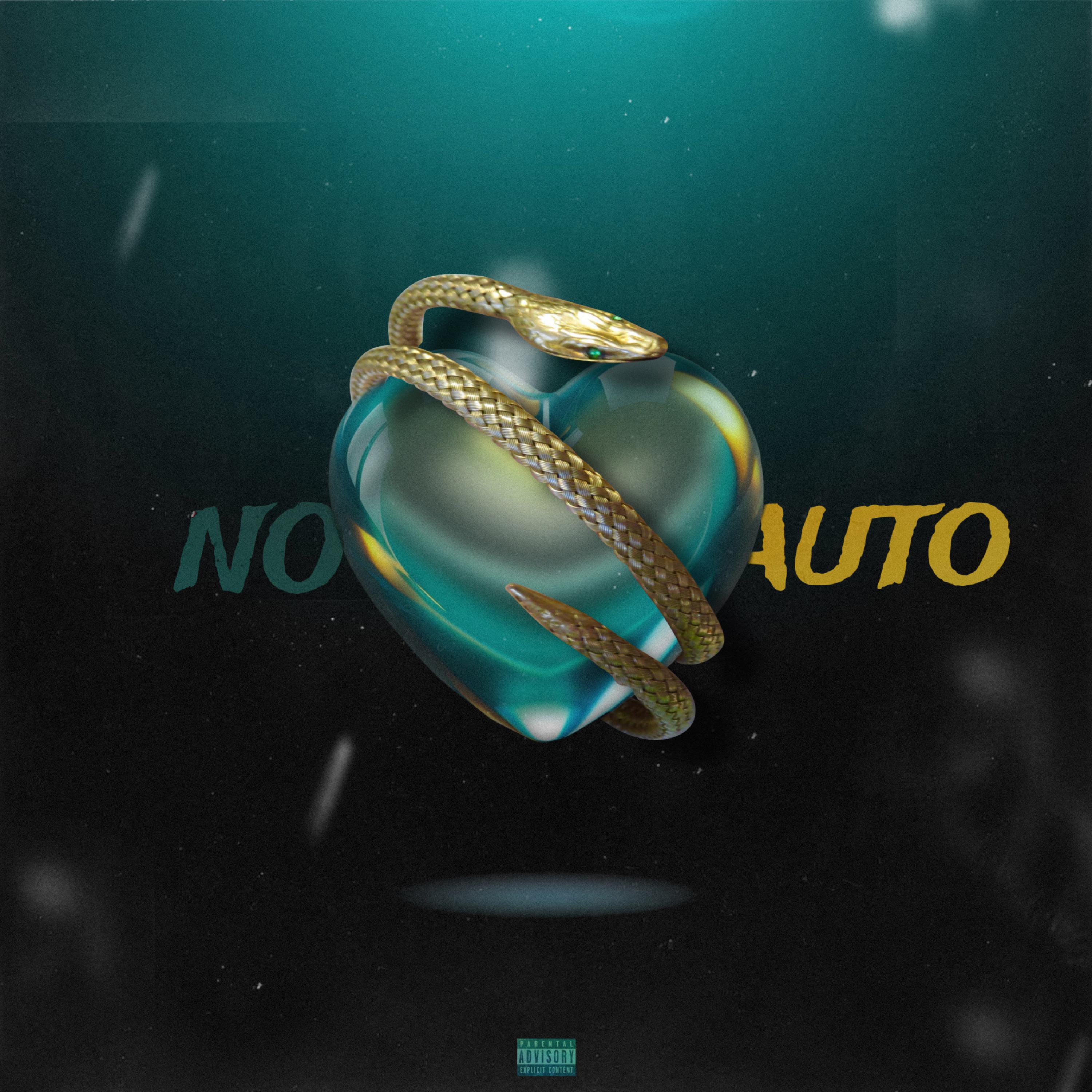 no auto artwork