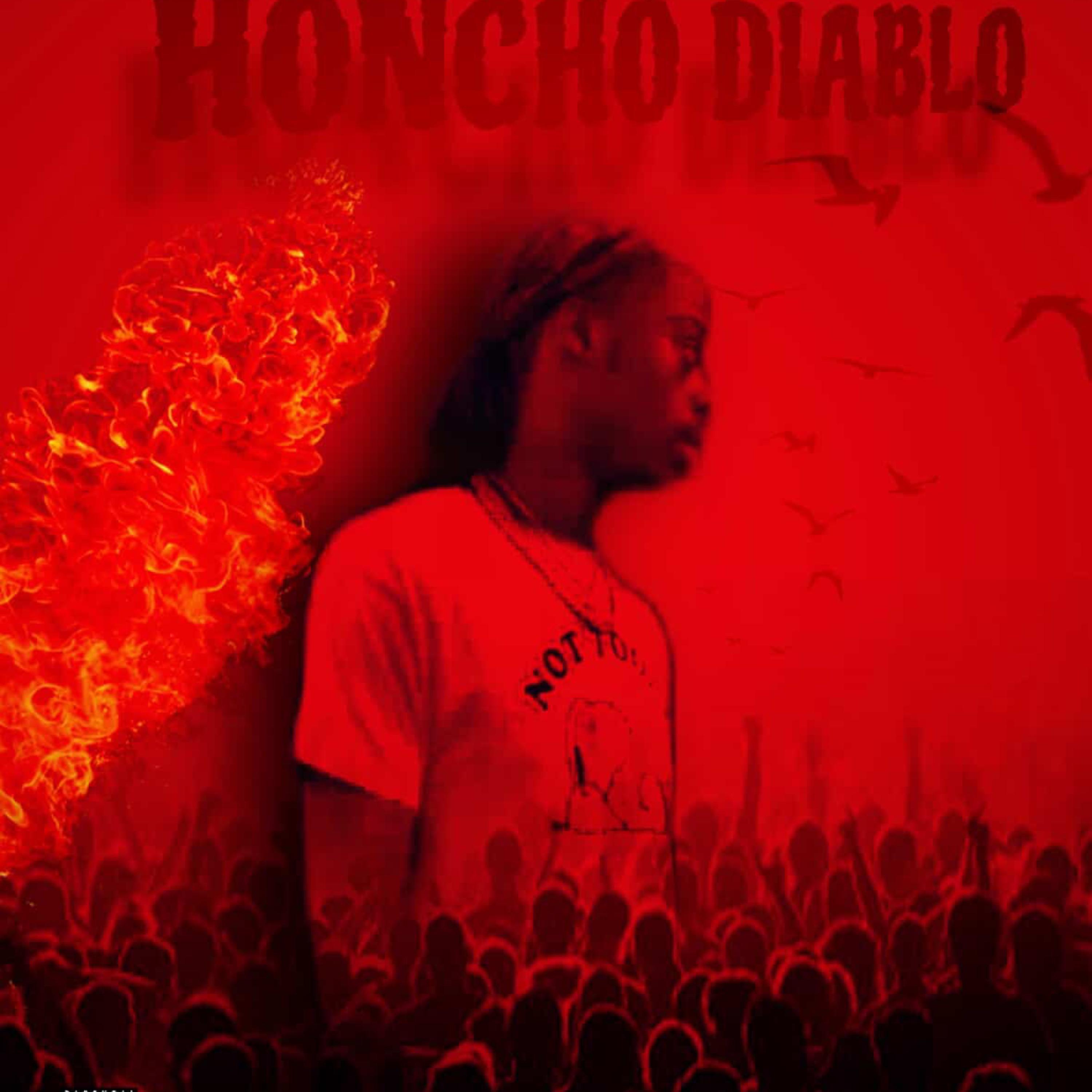H0nch0 DIABLO artwork