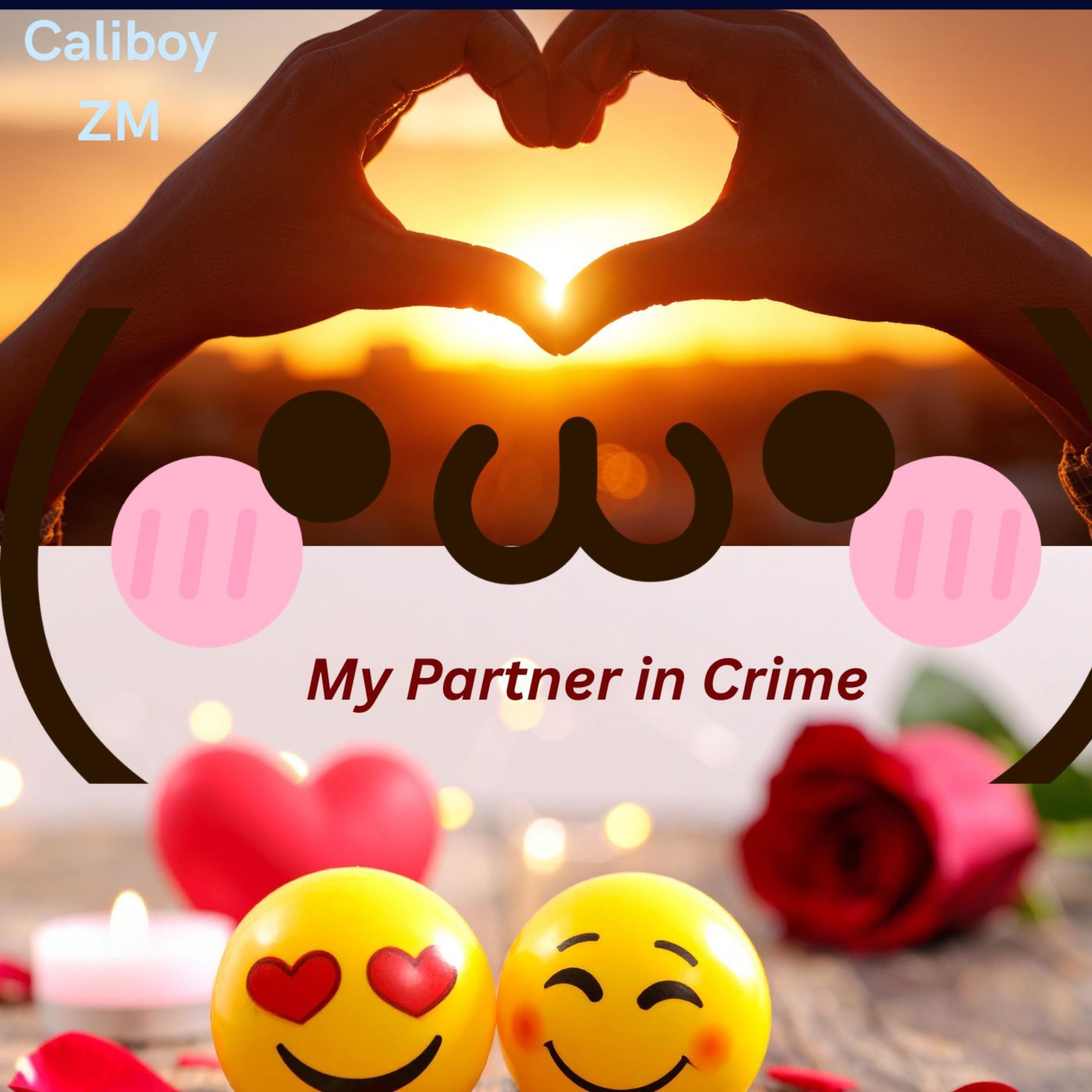 My Partner in Crime by Caliboy ZM cover art