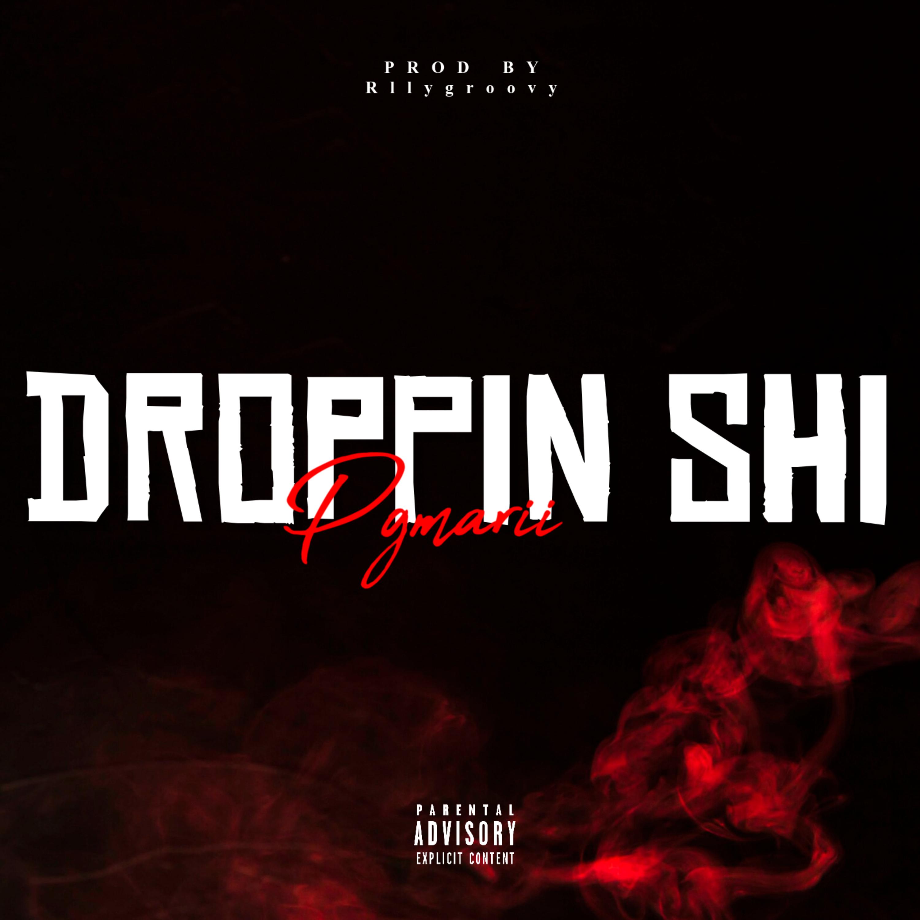 Droppin shi artwork