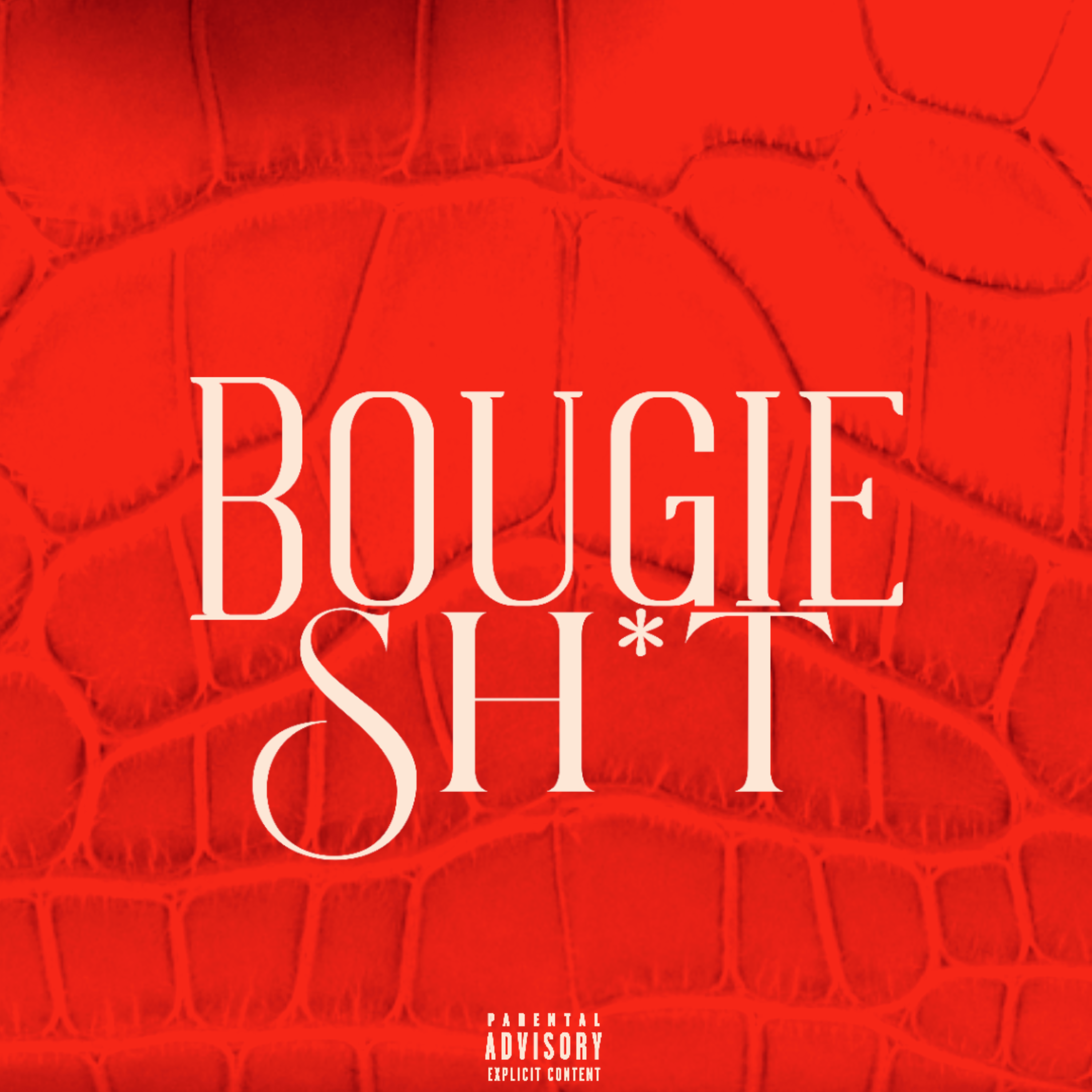 Bougie Shit artwork