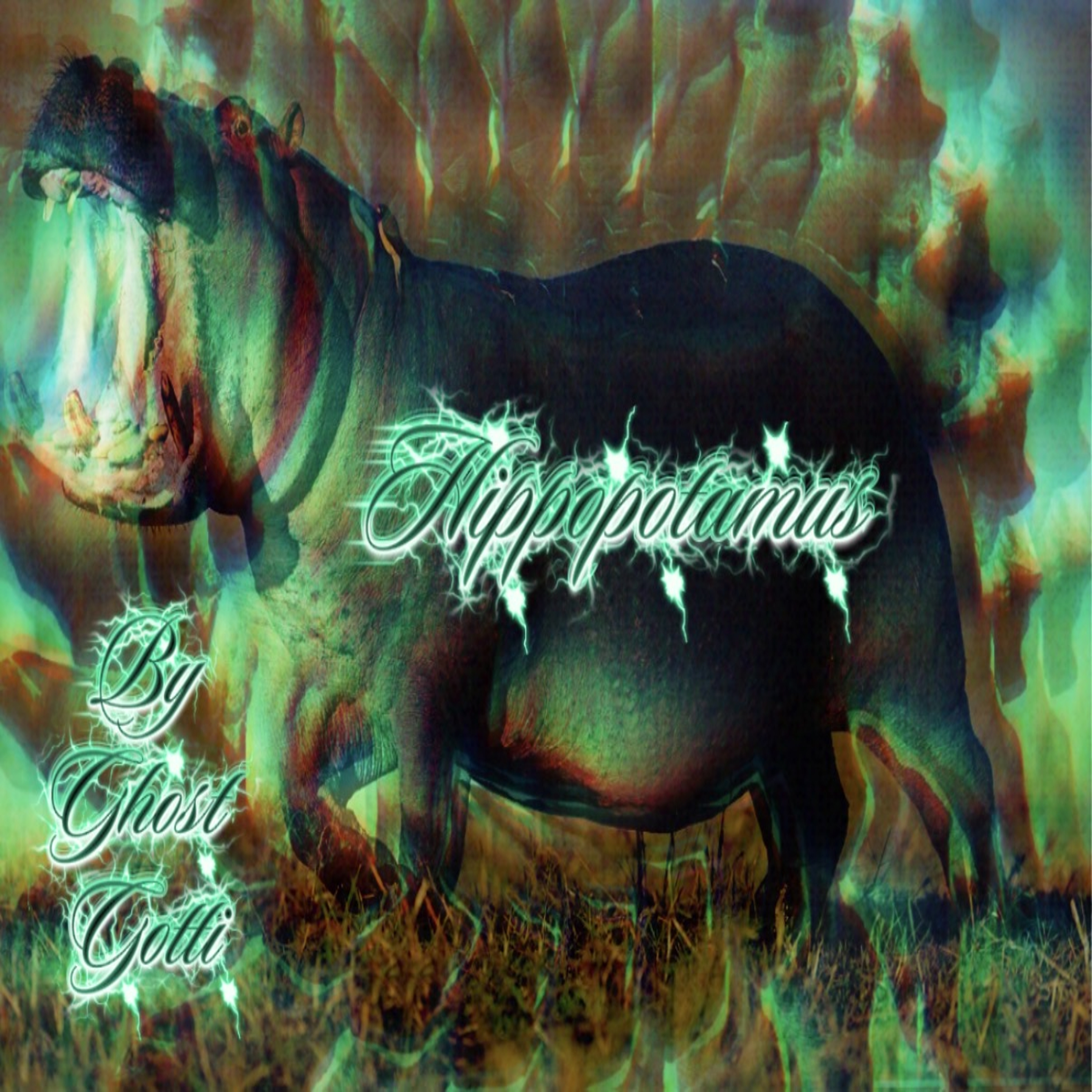 Hippopotamus artwork