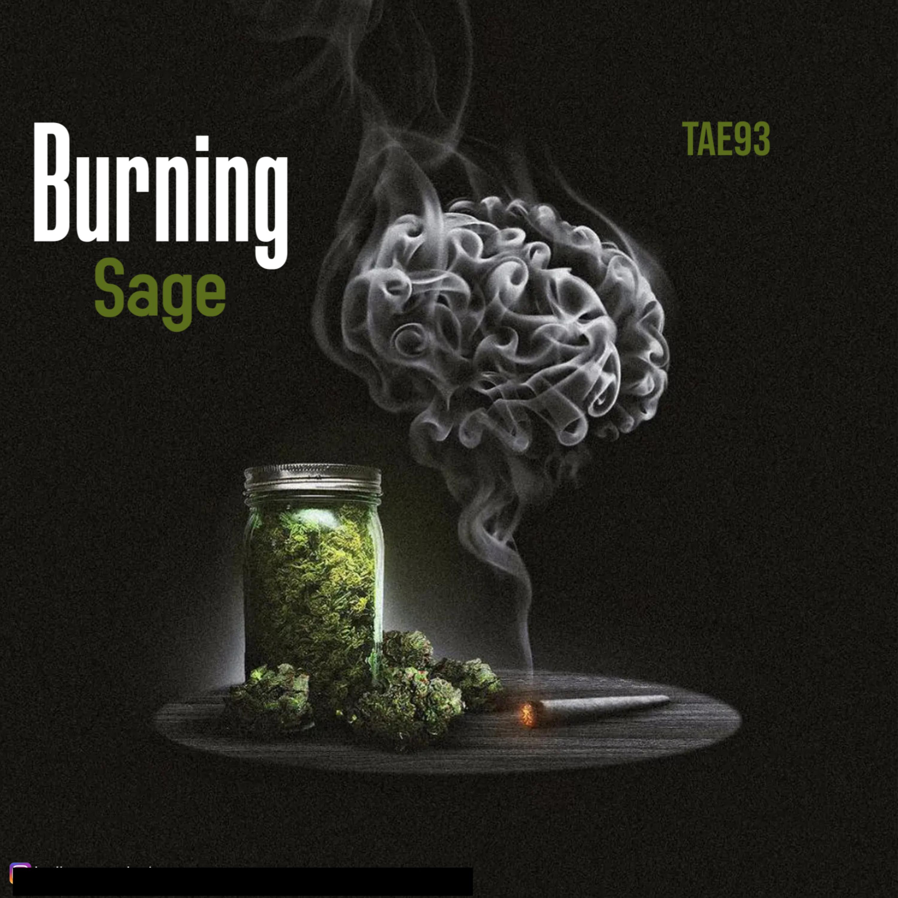 Burning Sage artwork