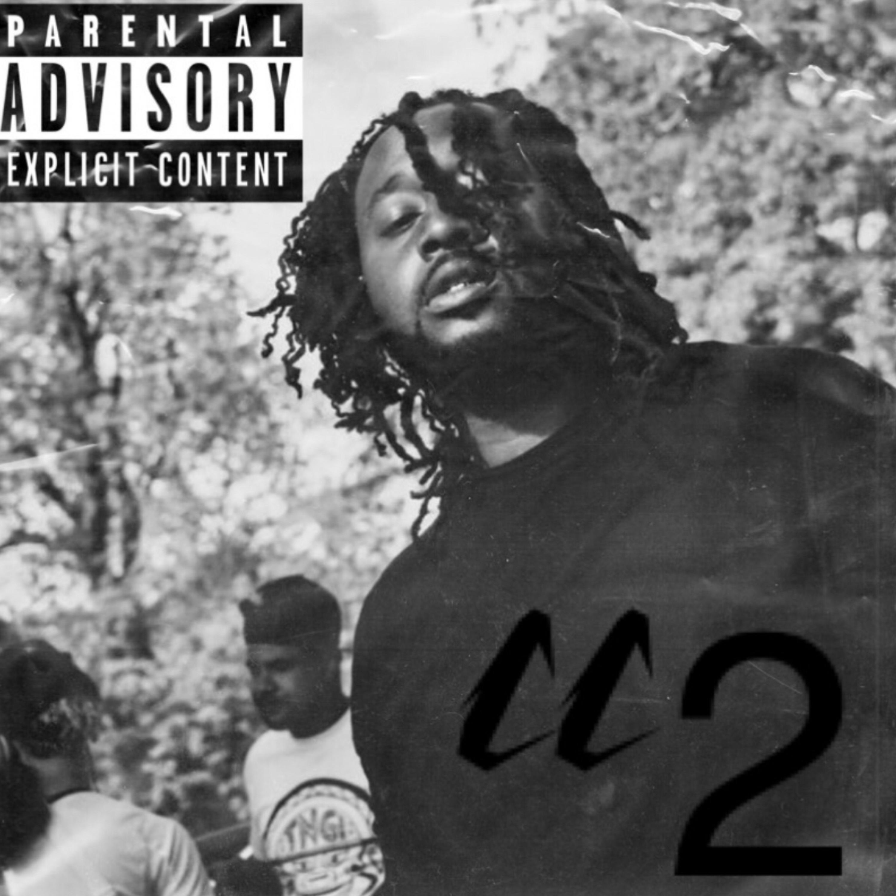 Country Cool 2 artwork