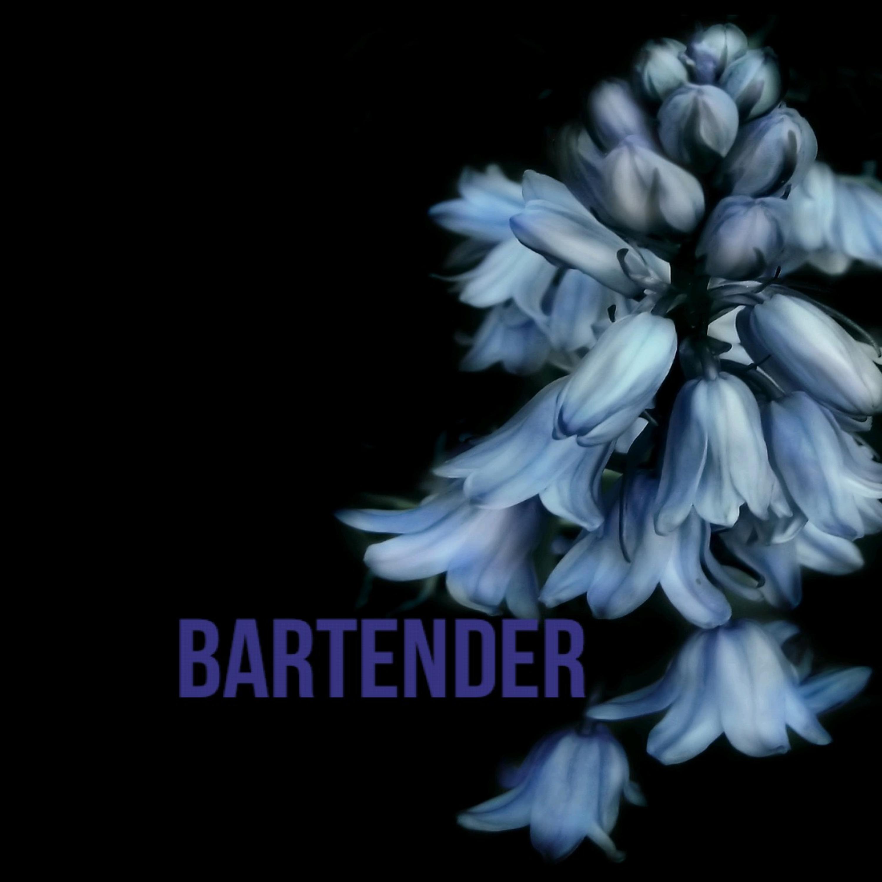BARTENDER artwork