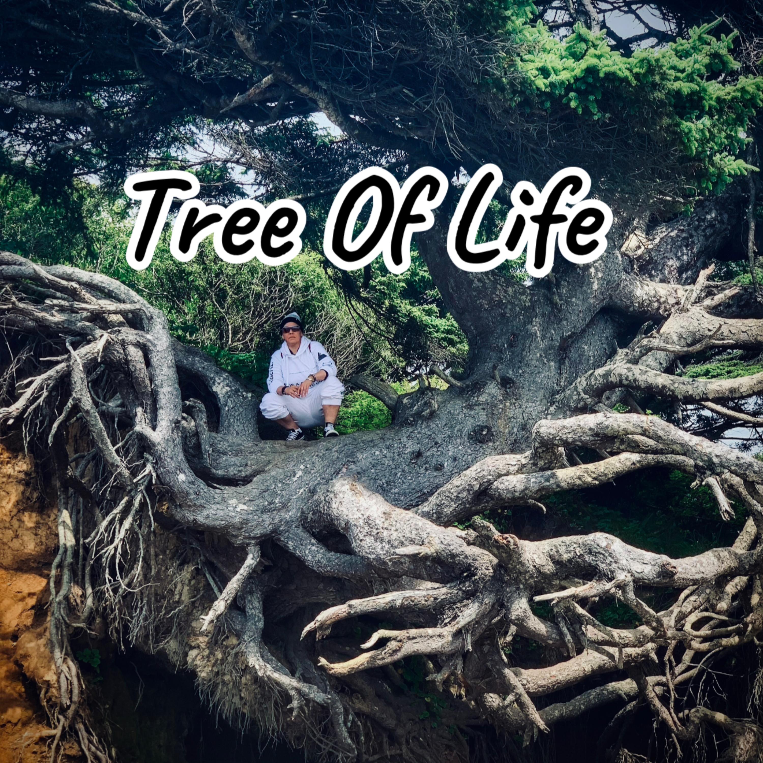 Tree Of Life artwork