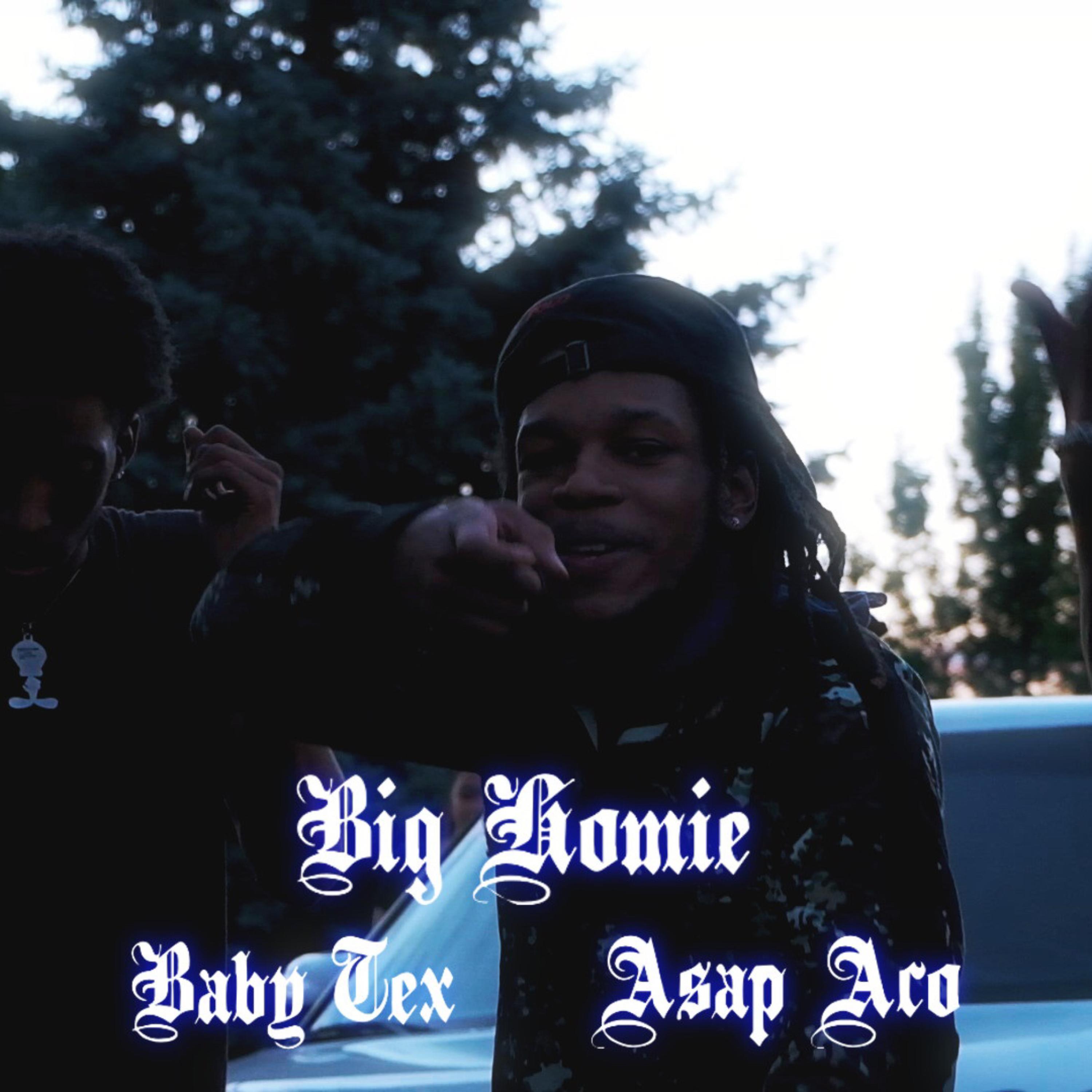 GET IN or SHAKE BACK artwork