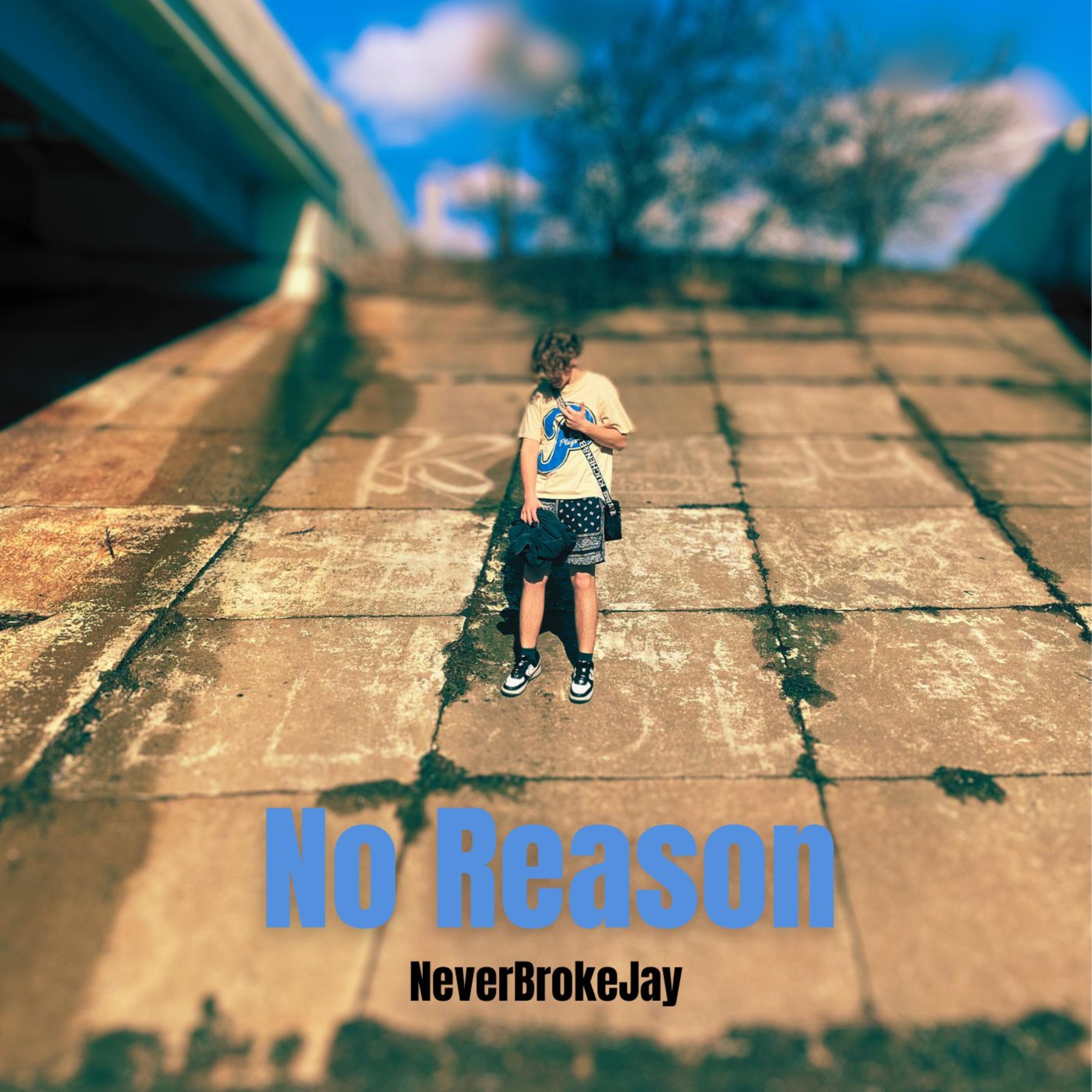 No reason artwork