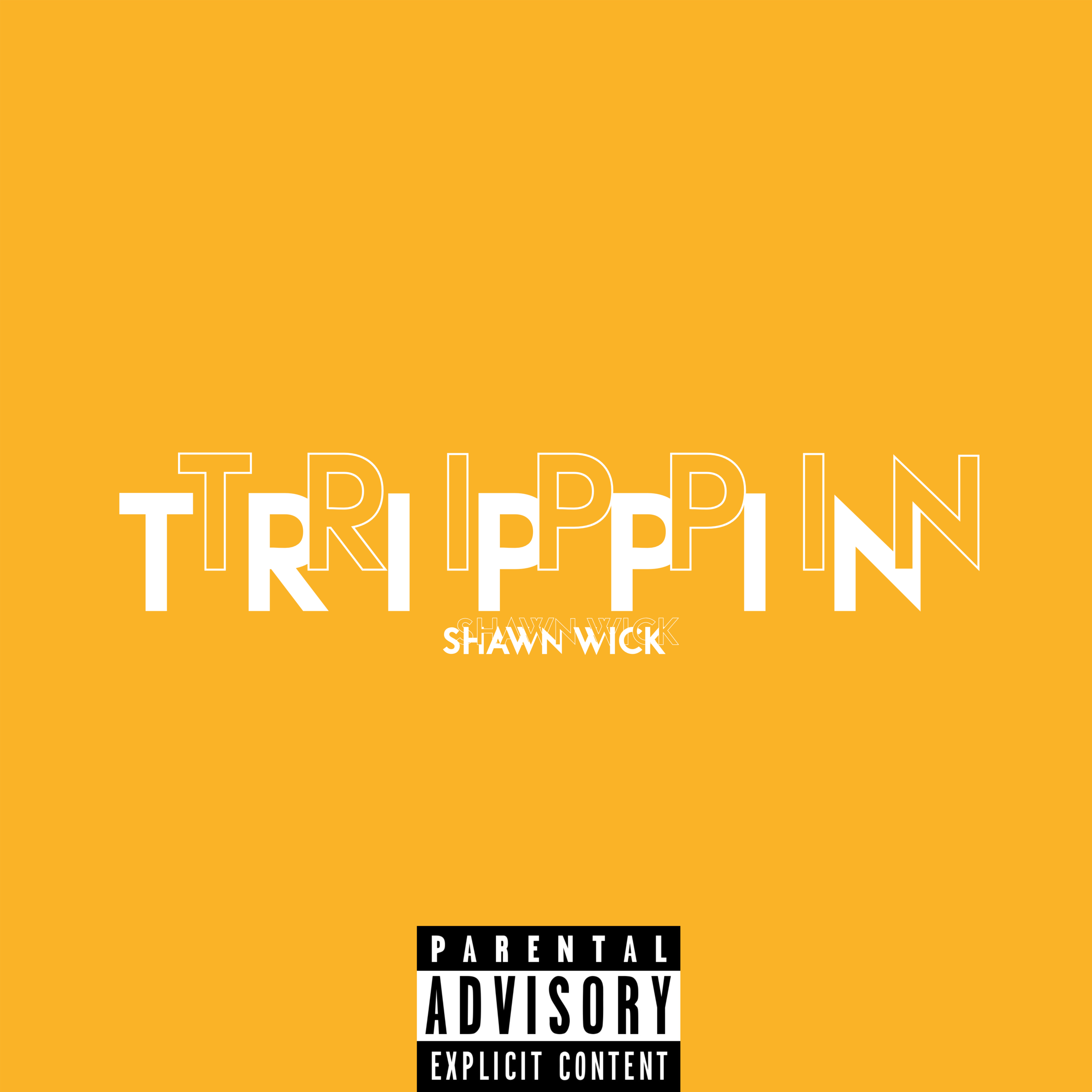 Trippin artwork