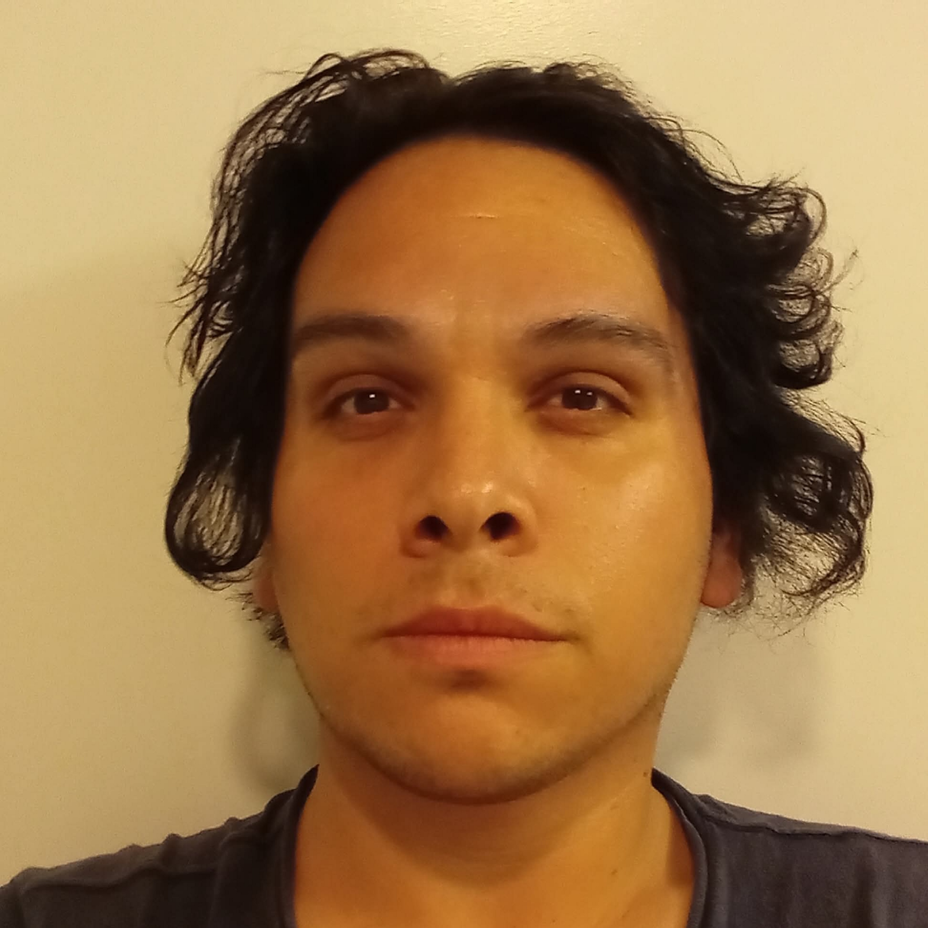 Shelter By The Nuns And The Sharks artwork