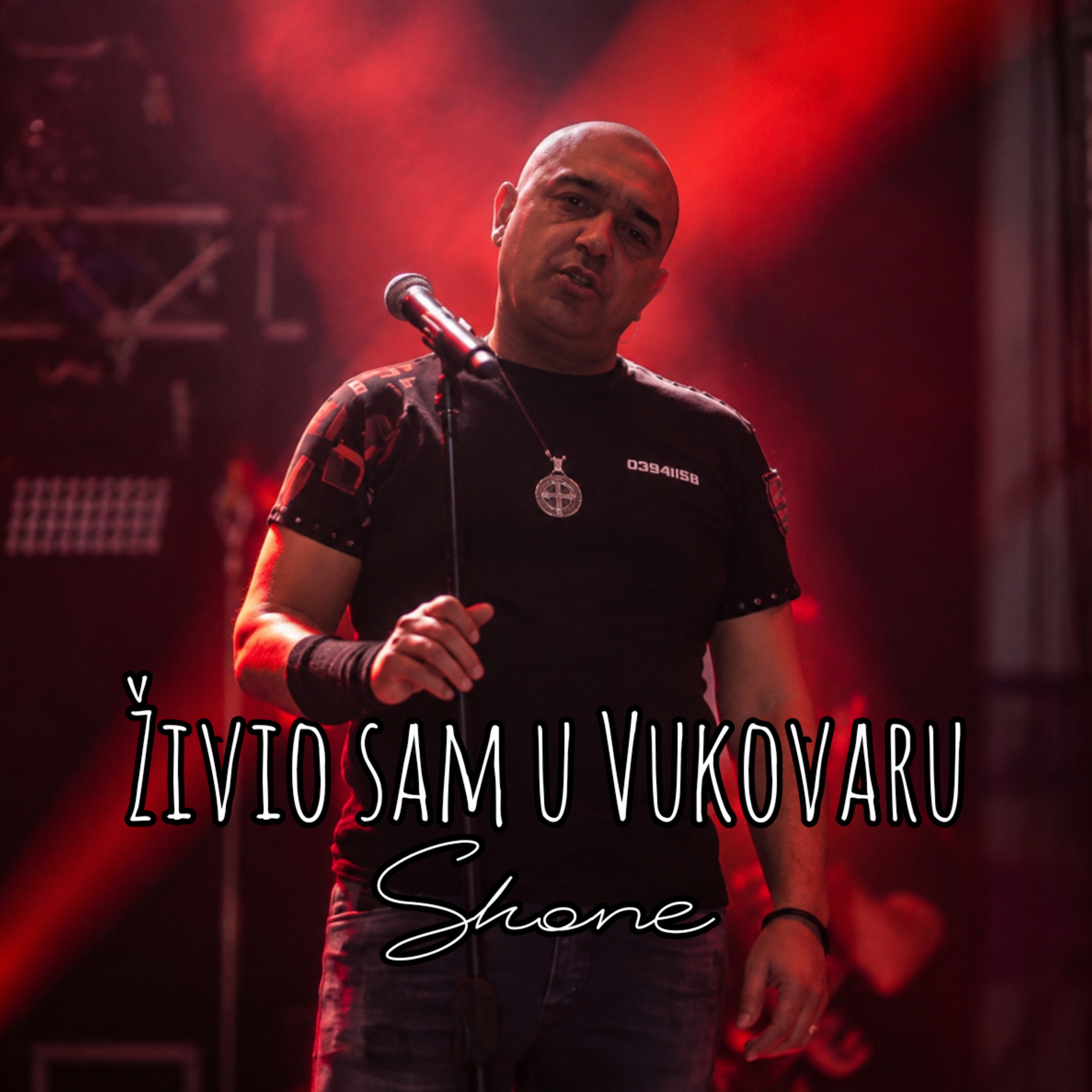 Živio sam u Vukovaru (Cro Music) by Shone cover art