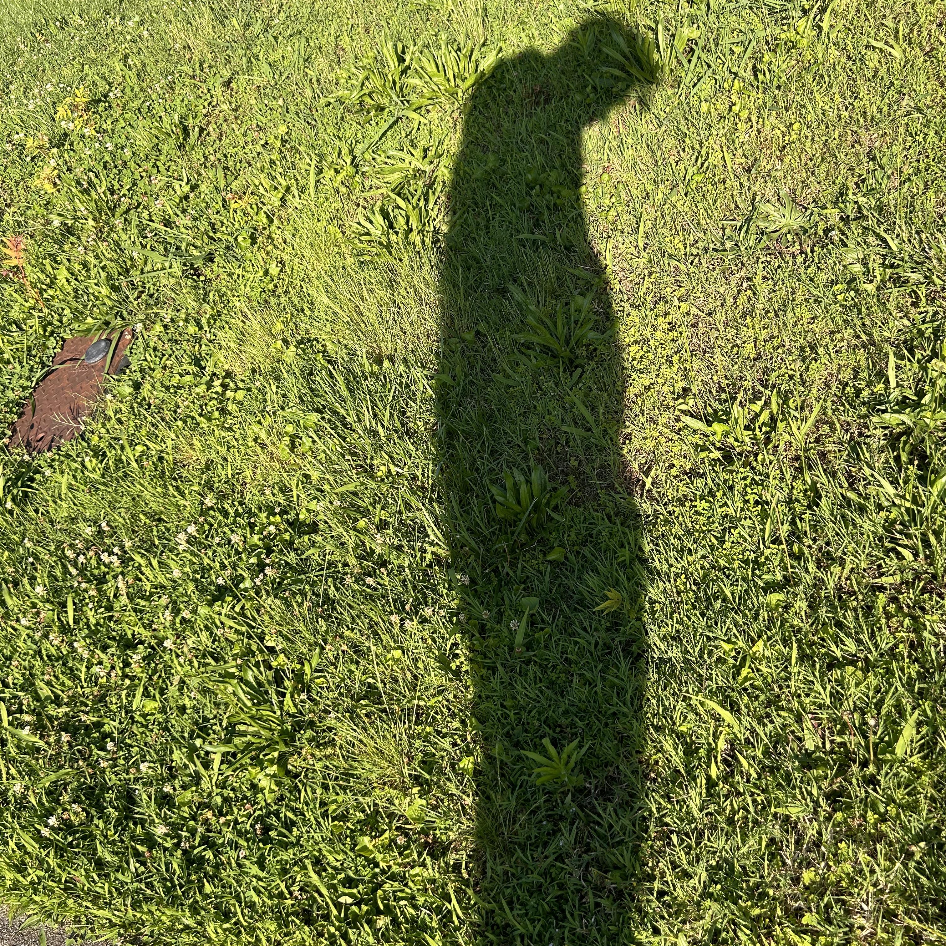 Waiting For You artwork